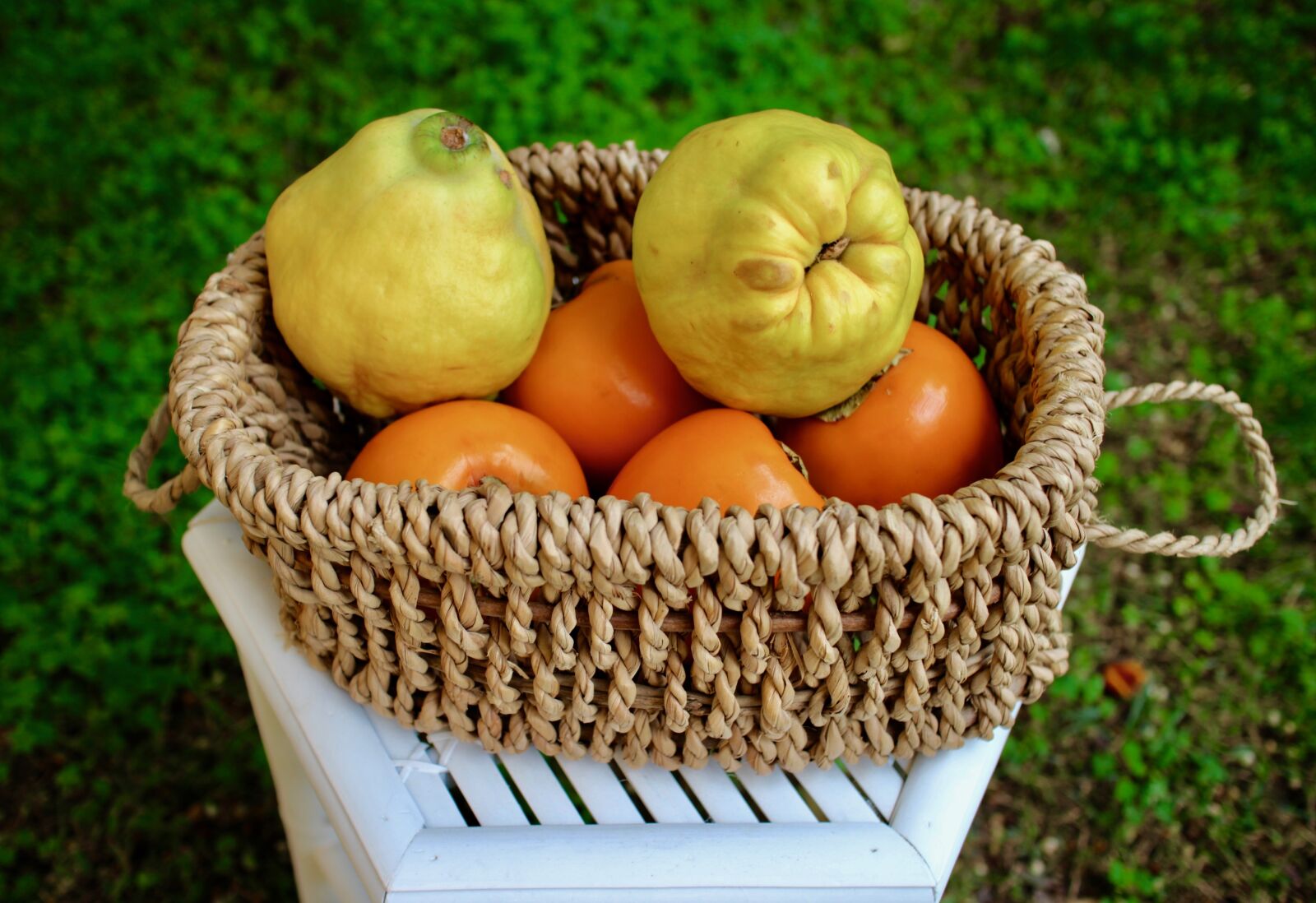 Canon EOS M sample photo. Fruit, quince, khaki photography