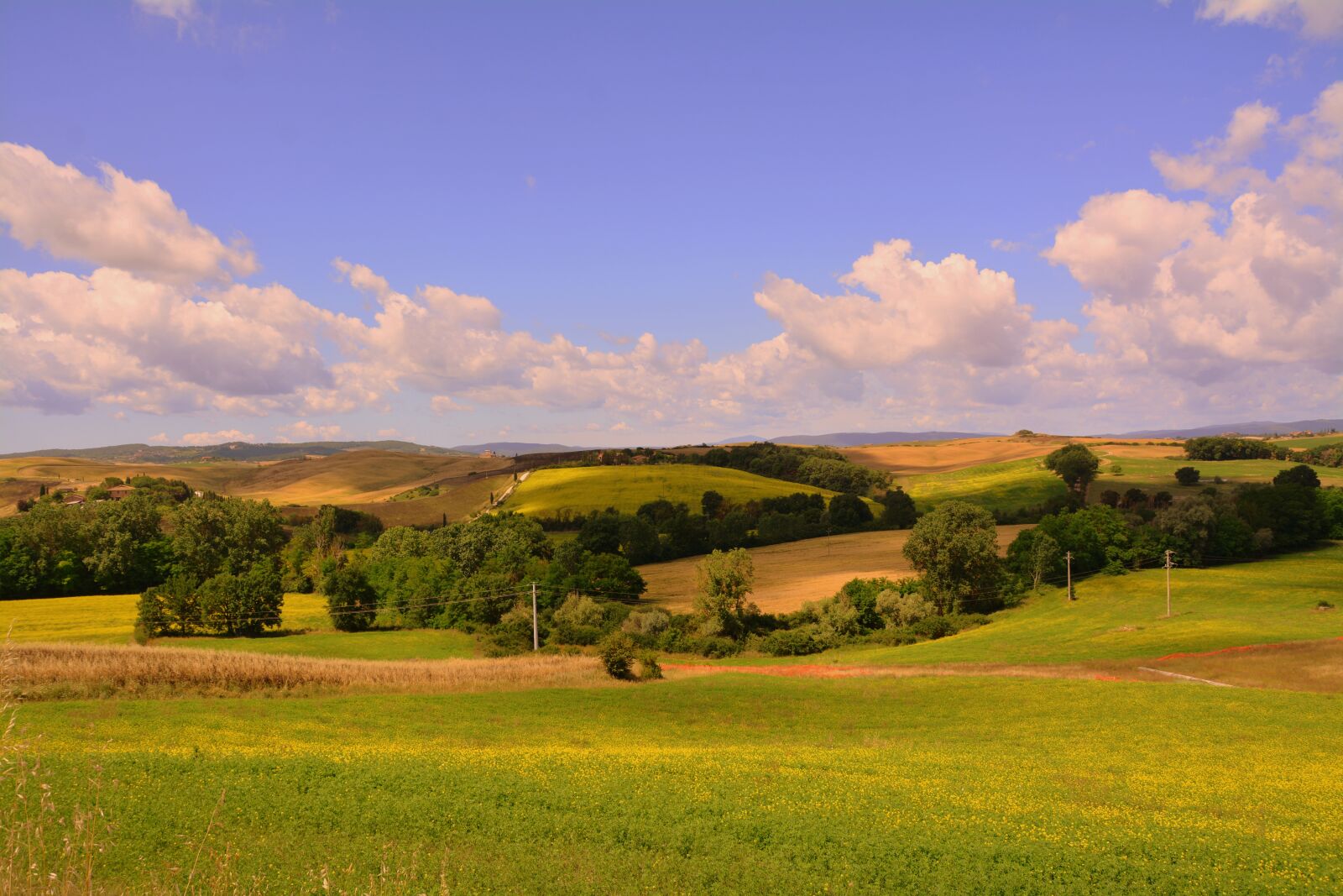 Nikon D7100 sample photo. Agriculture, field, green photography