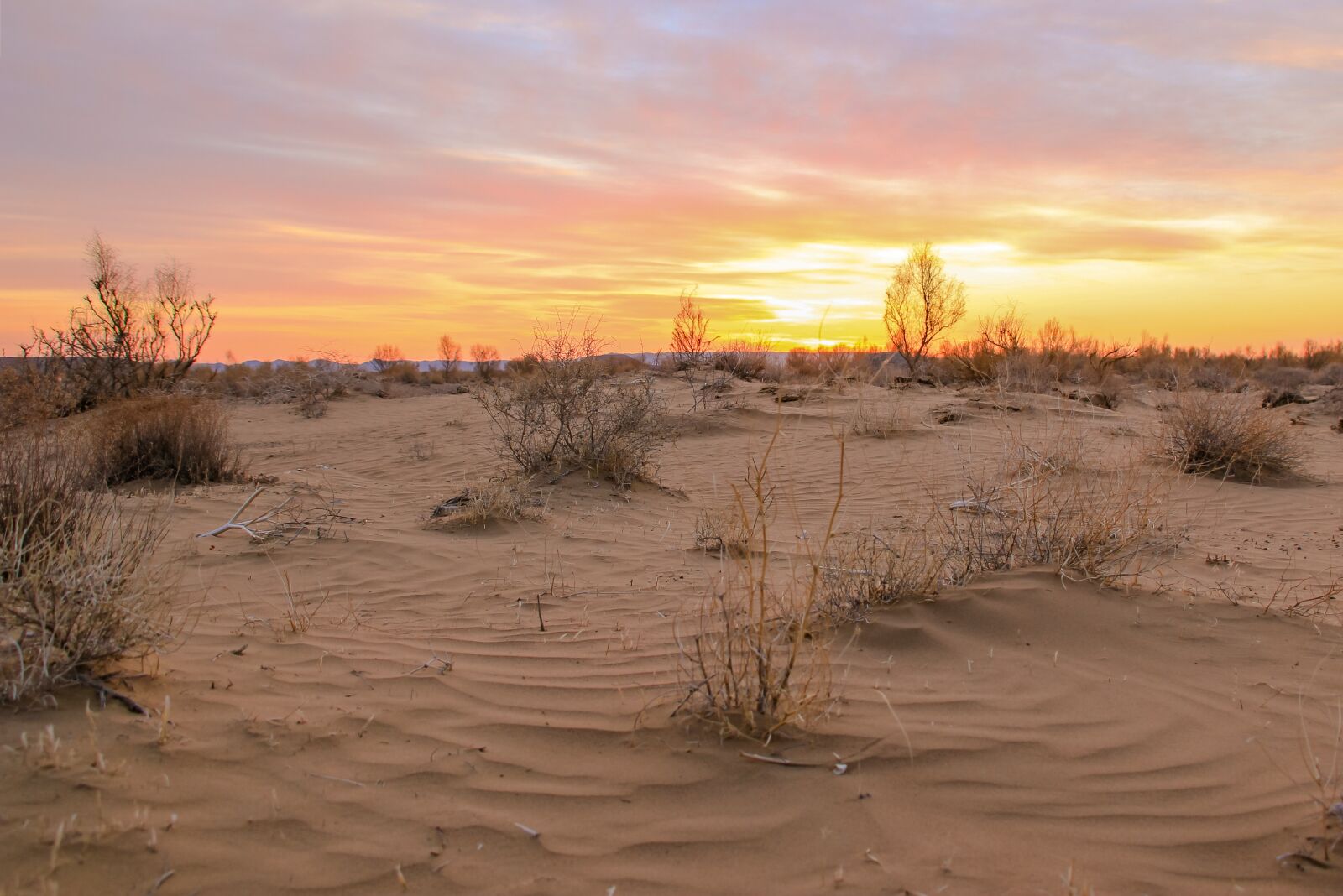Canon EOS 550D (EOS Rebel T2i / EOS Kiss X4) sample photo. Desert, sand, yellow sand photography