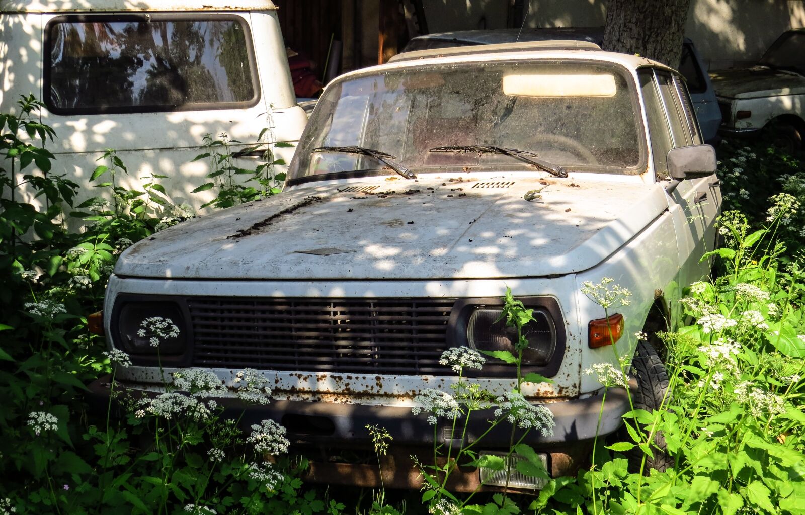 Canon PowerShot SX50 HS sample photo. Car cemetery, rust, stainless photography
