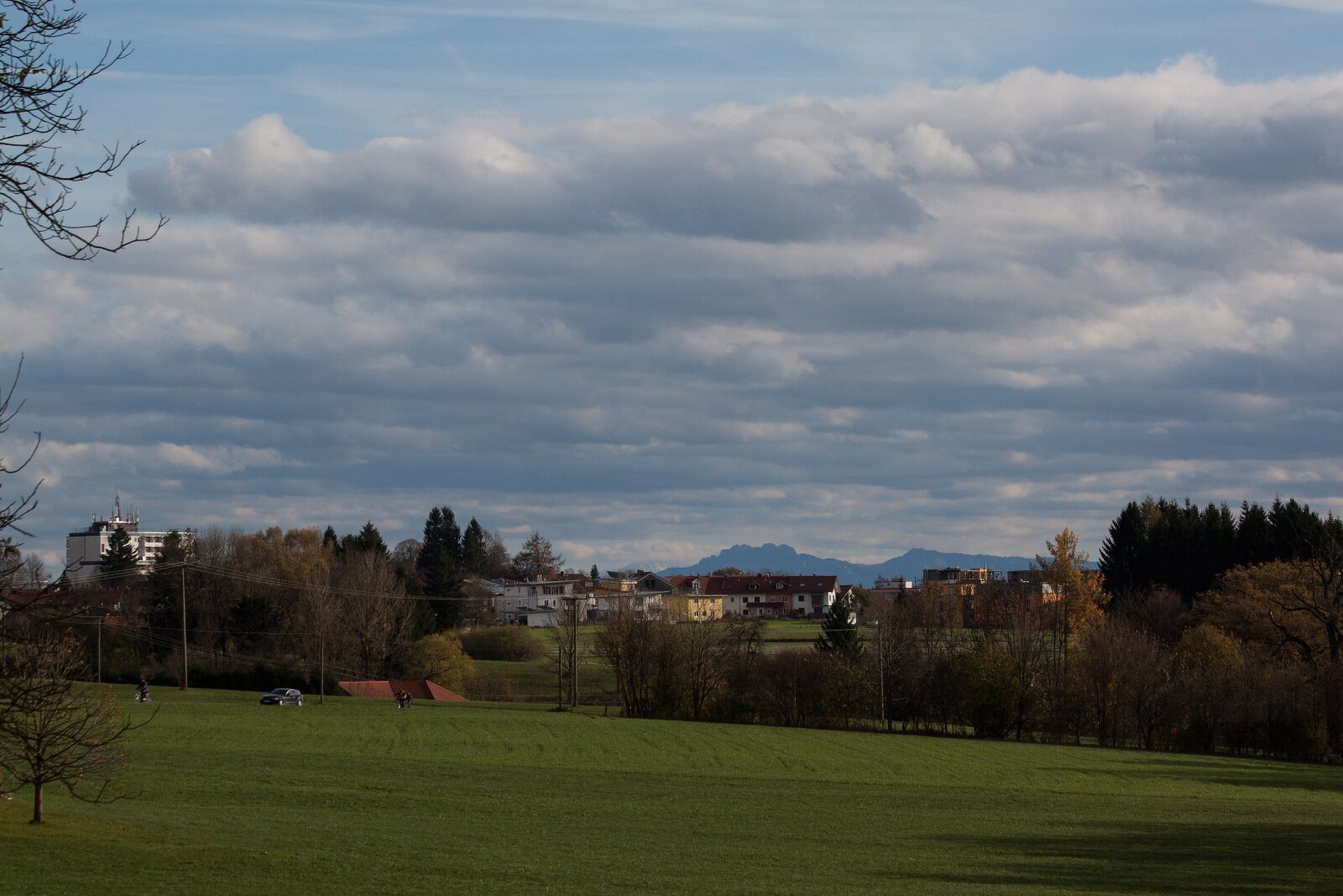 Canon EOS 50D sample photo. Park, settlement, forest photography