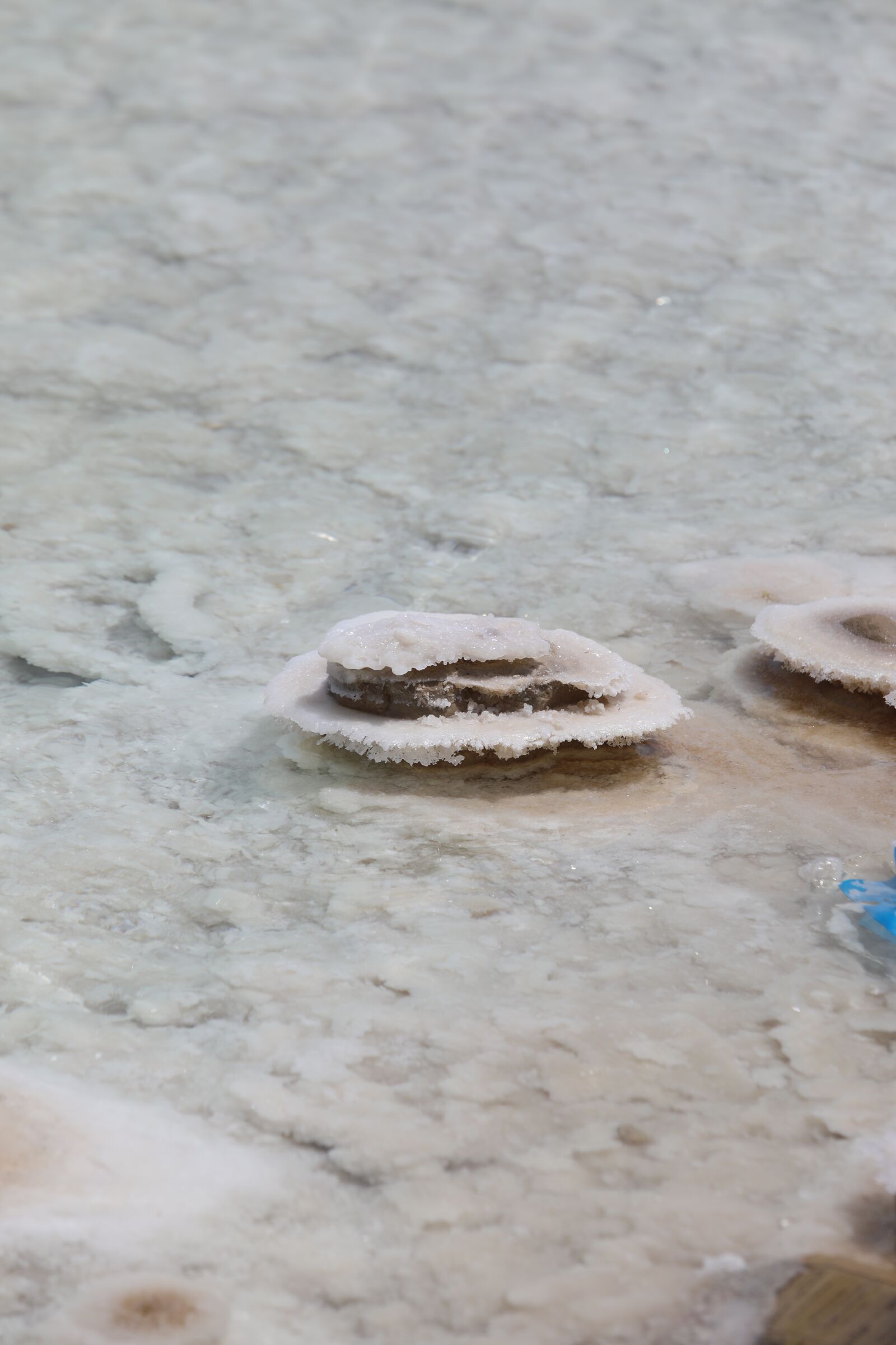 Canon EF 70-200mm F2.8L USM sample photo. Sea, salt, water photography