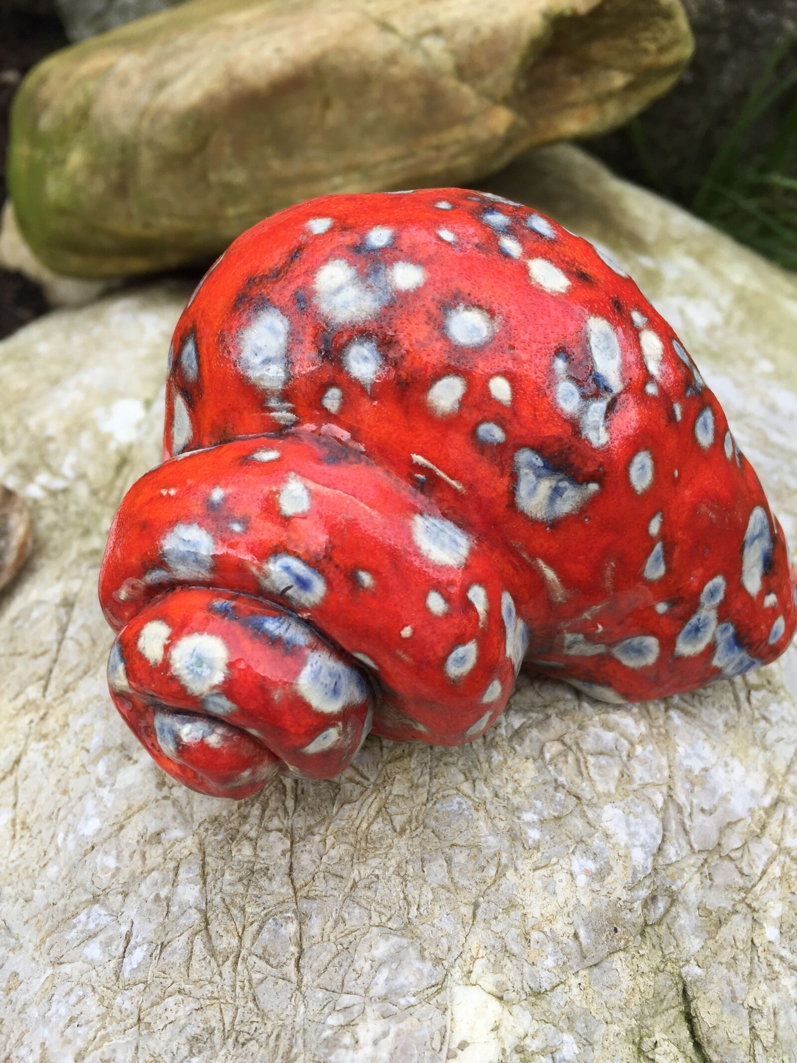 Apple iPhone 6 sample photo. Red, shell, stone photography