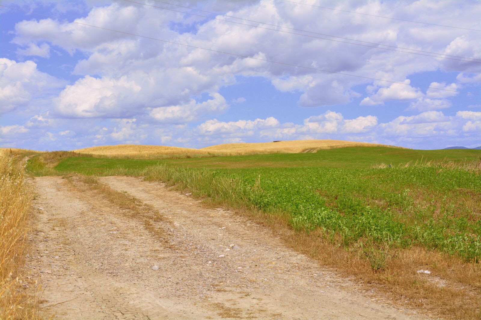 Nikon D7100 sample photo. Road, field, sky photography