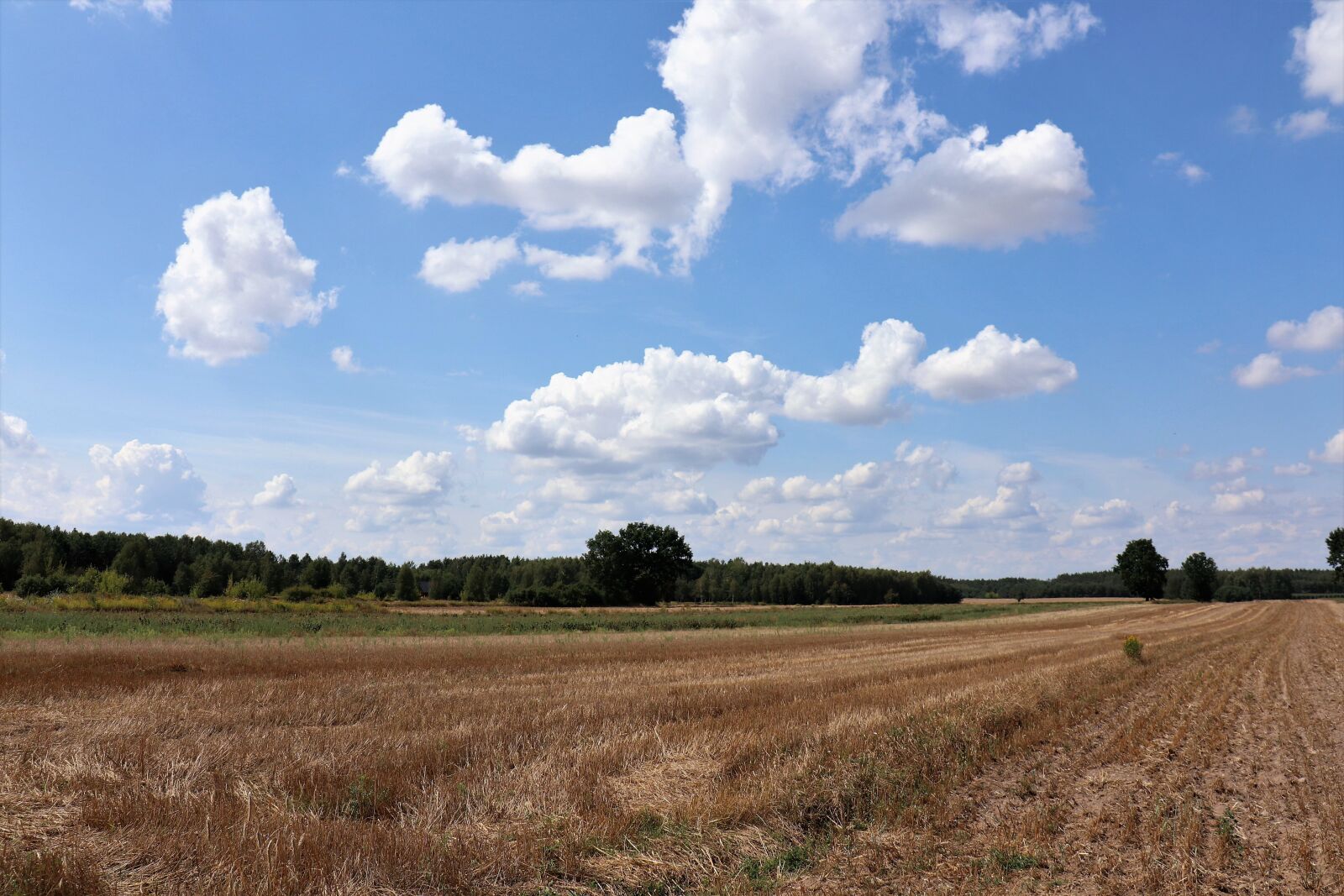 Canon EOS M6 sample photo. Landscape, fields, sky photography