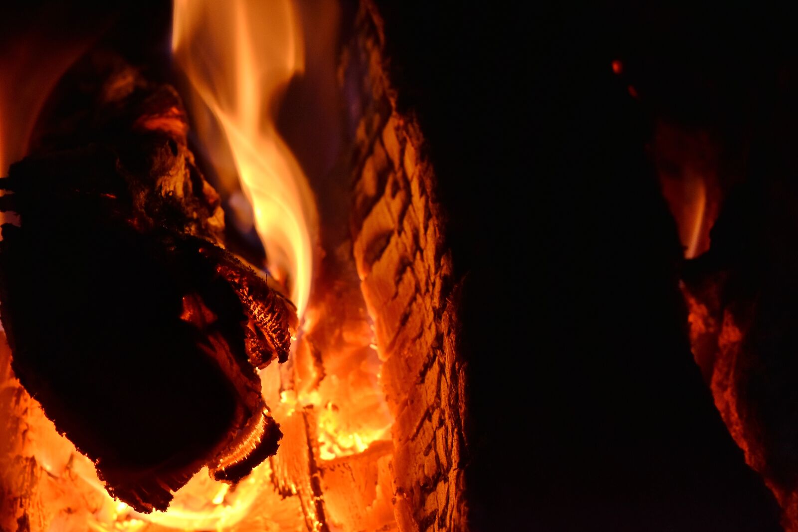 Nikon D5500 sample photo. Campfire, hot, coal, flame photography