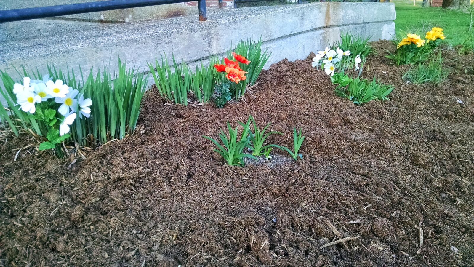 Motorola Moto X (1st Gen) sample photo. Fake, flowers, green, mulch photography