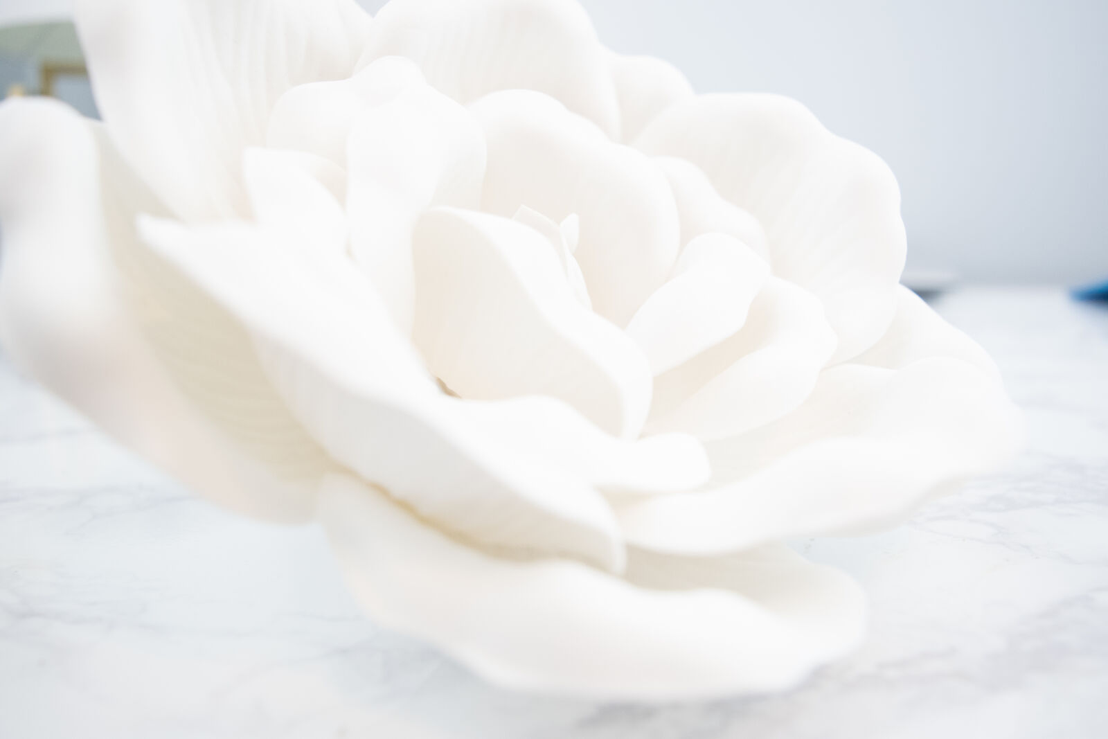 Nikon D3300 sample photo. Marble, white, rose photography