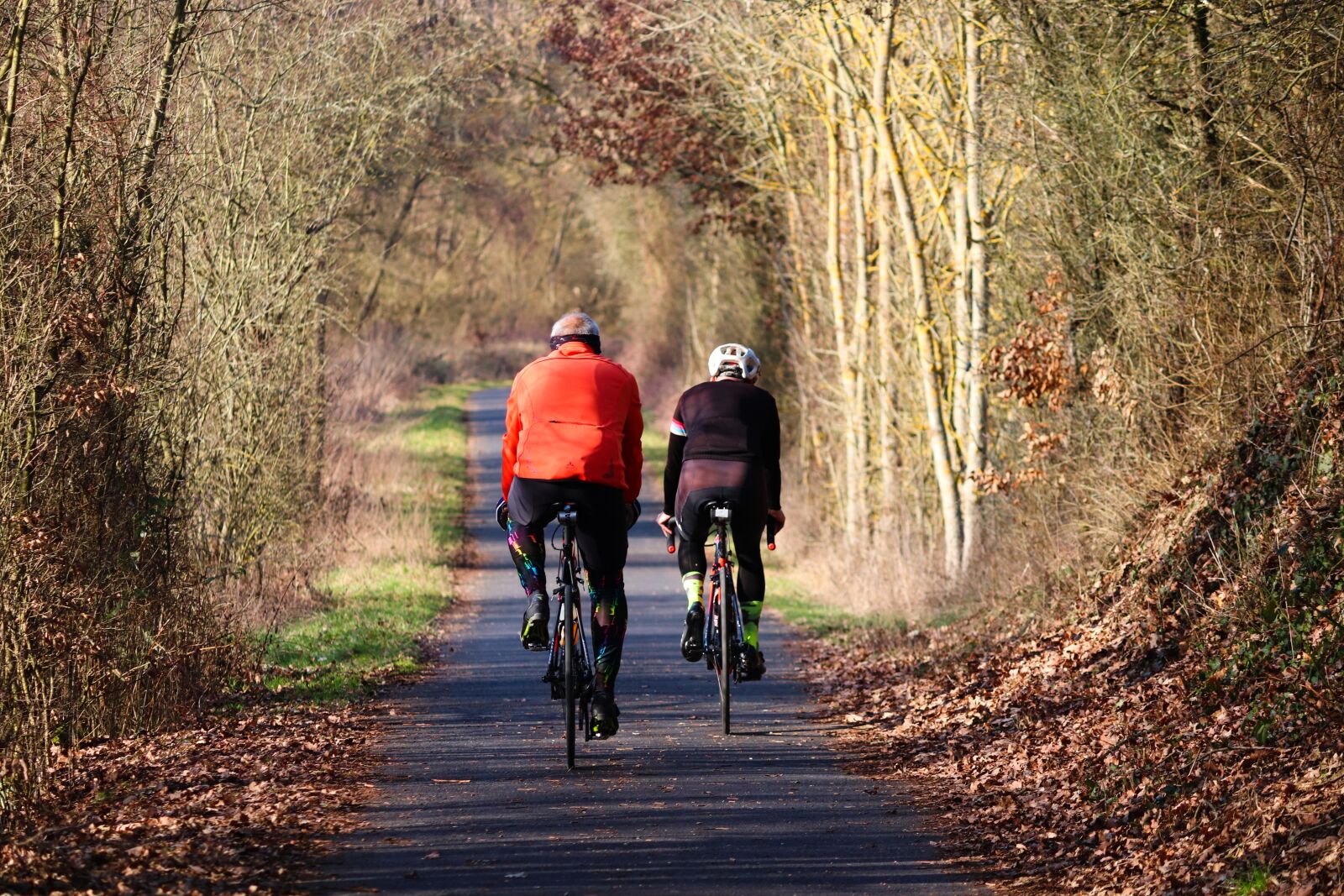Canon EOS 200D (EOS Rebel SL2 / EOS Kiss X9) sample photo. Cyclists, drive, cycling photography