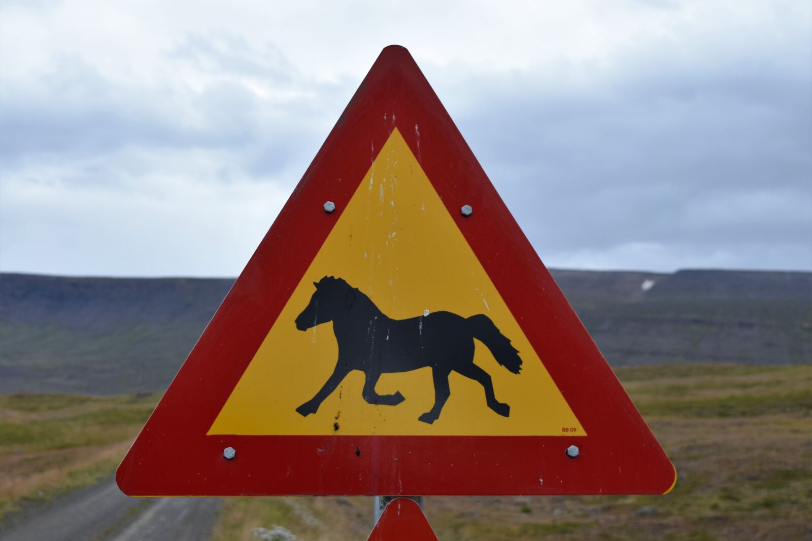 Nikon D3300 sample photo. Sign, horse, crossing photography