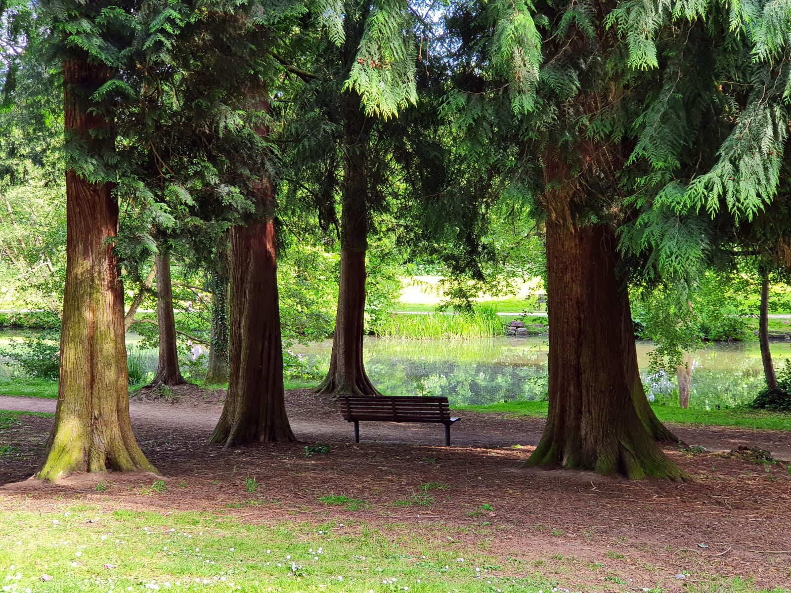 Samsung Galaxy S10 sample photo. Loneliness, bench, park photography