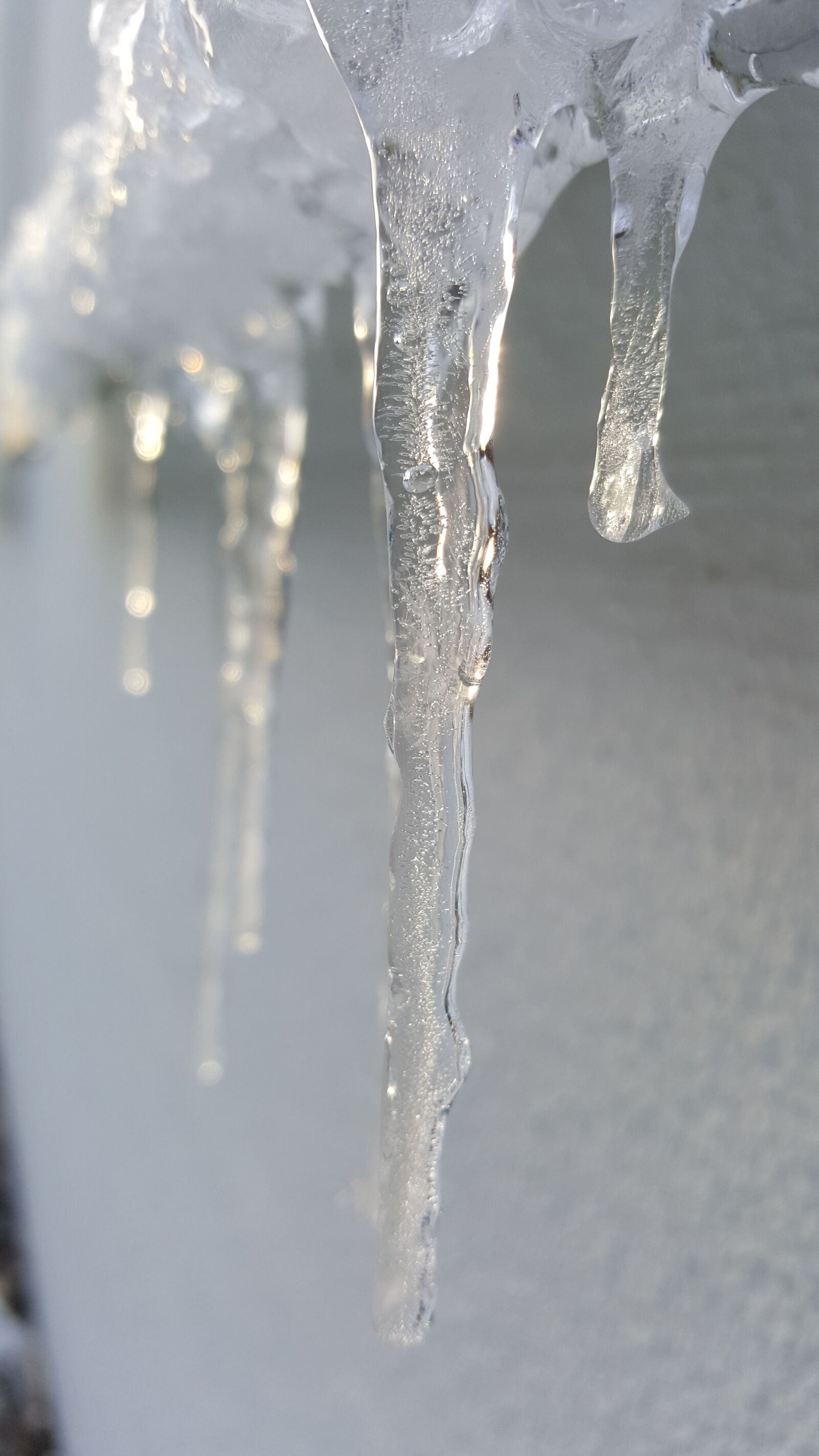 Samsung Galaxy S6 sample photo. Icicle, wet, cold photography