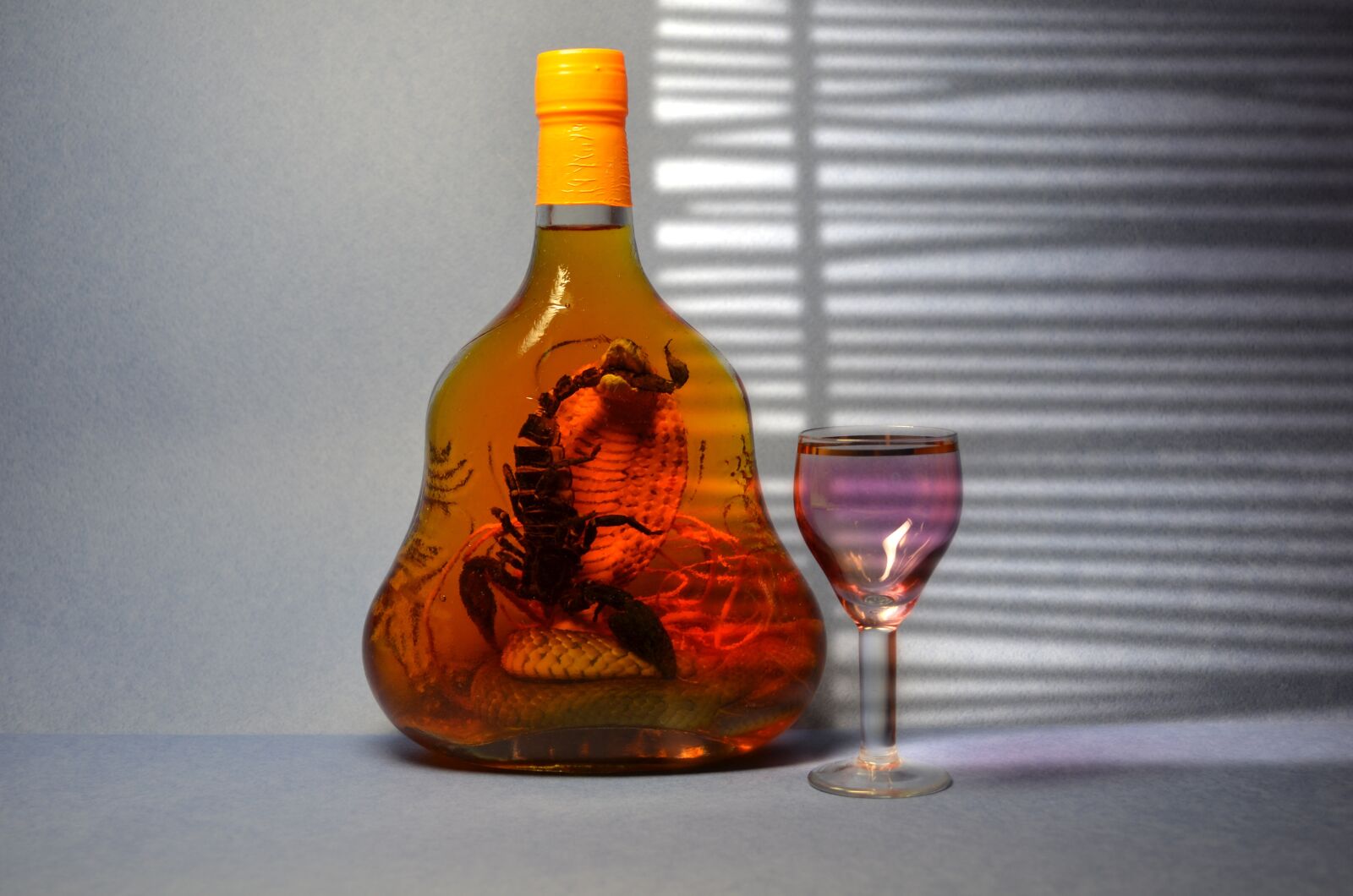 Nikon D5100 sample photo. Tincture, vodka, scorpion photography