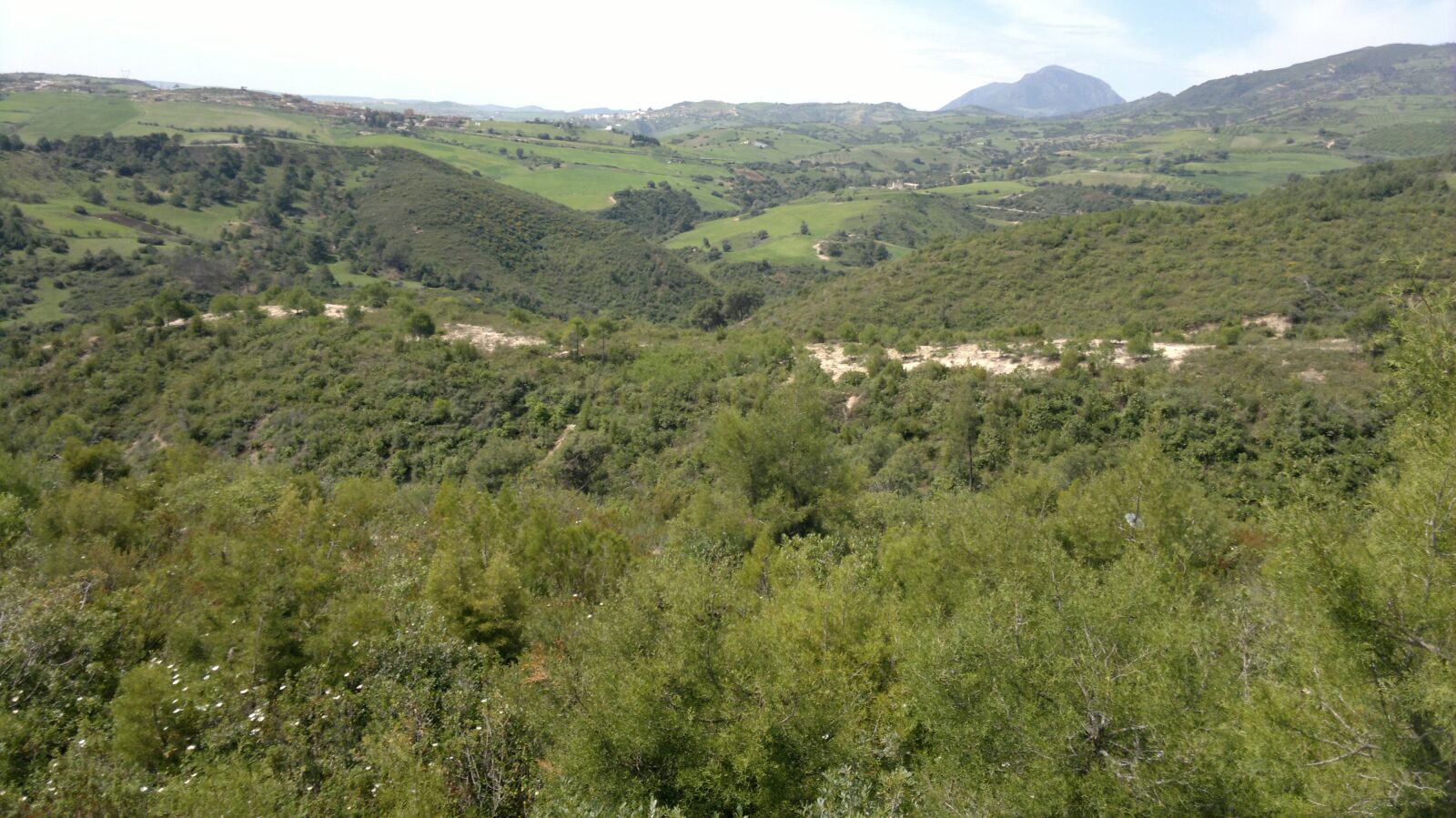 Nokia N8-00 sample photo. Spring, mountains, green photography