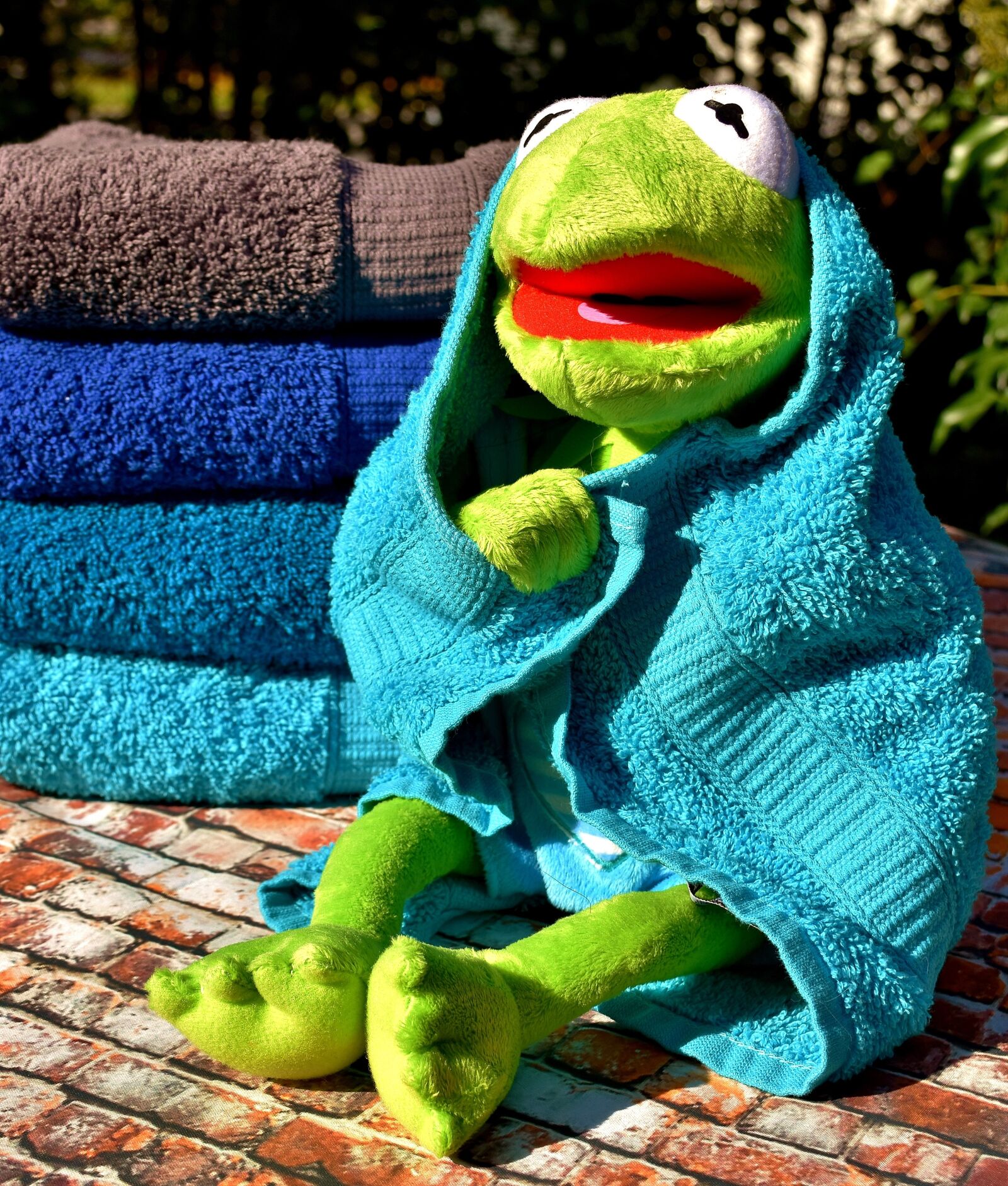 Nikon D7200 sample photo. Kermit, towels, blue photography