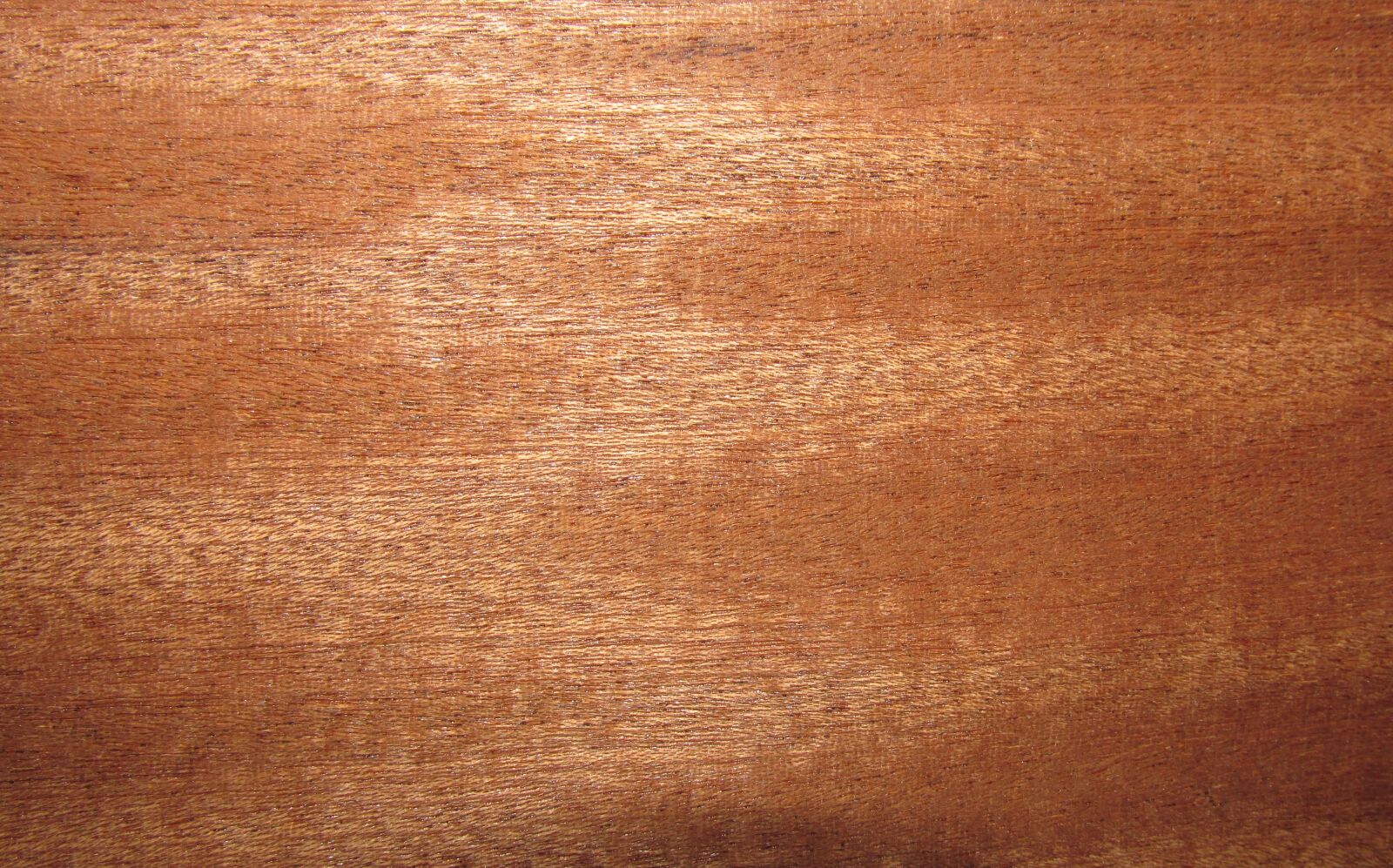 Canon PowerShot SX170 IS sample photo. Wood, timber, veneer photography