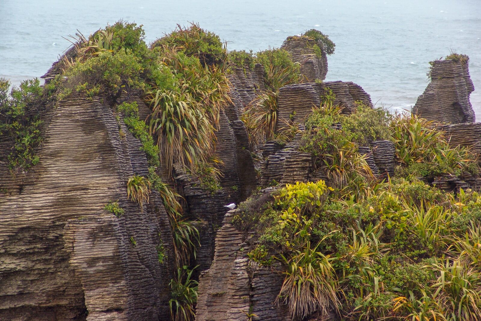 Sony DSC-F828 sample photo. Rocks, formation, volcanic photography