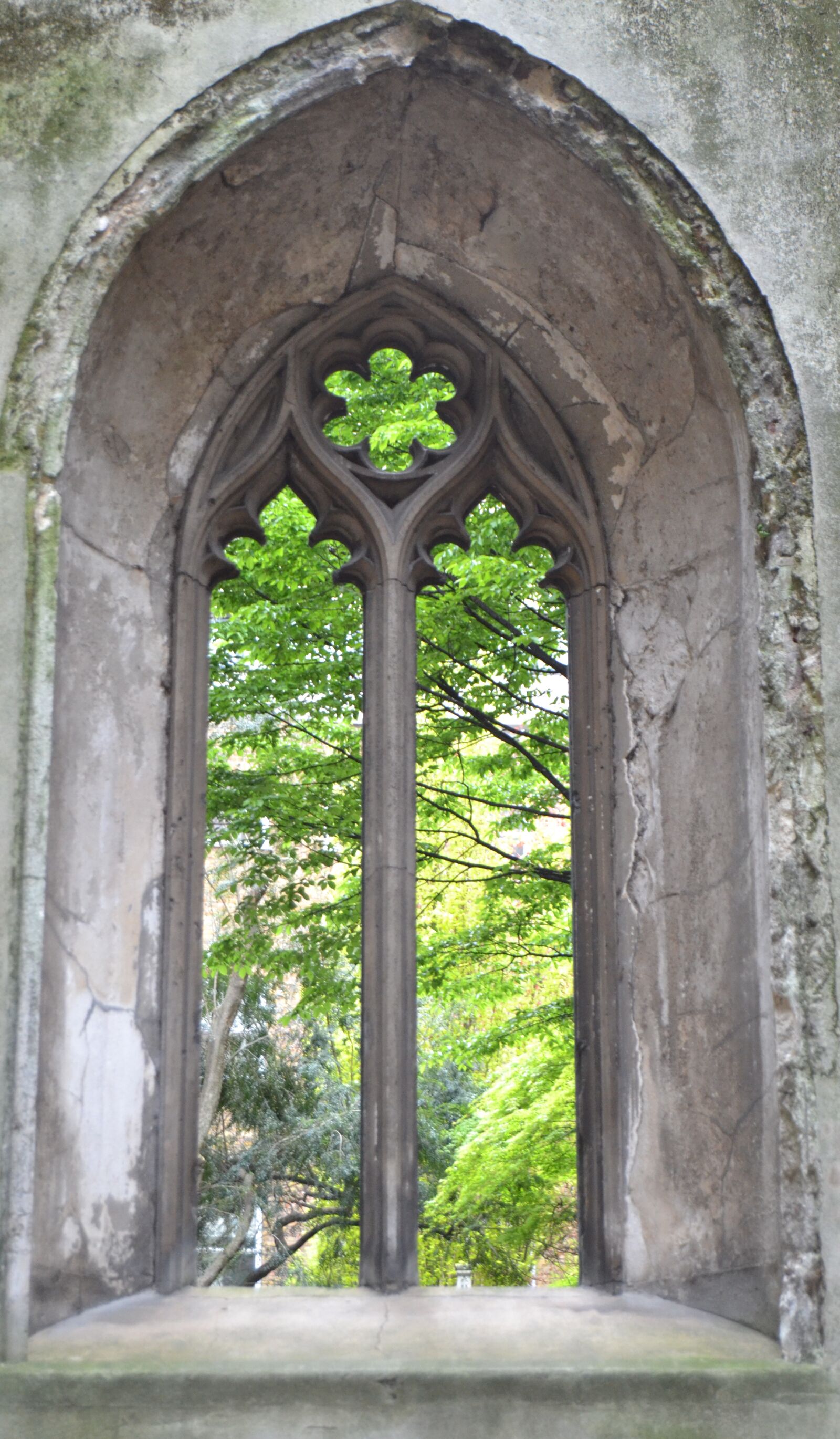 Nikon D3100 sample photo