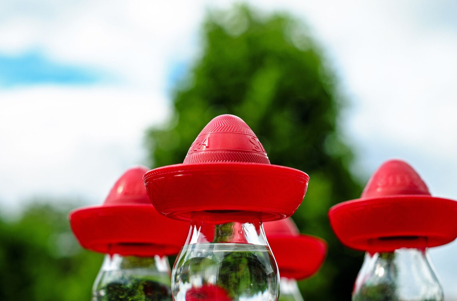 Fujifilm X-T10 + Fujifilm XF 35mm F1.4 R sample photo. Sombrero, mexican hat, red photography