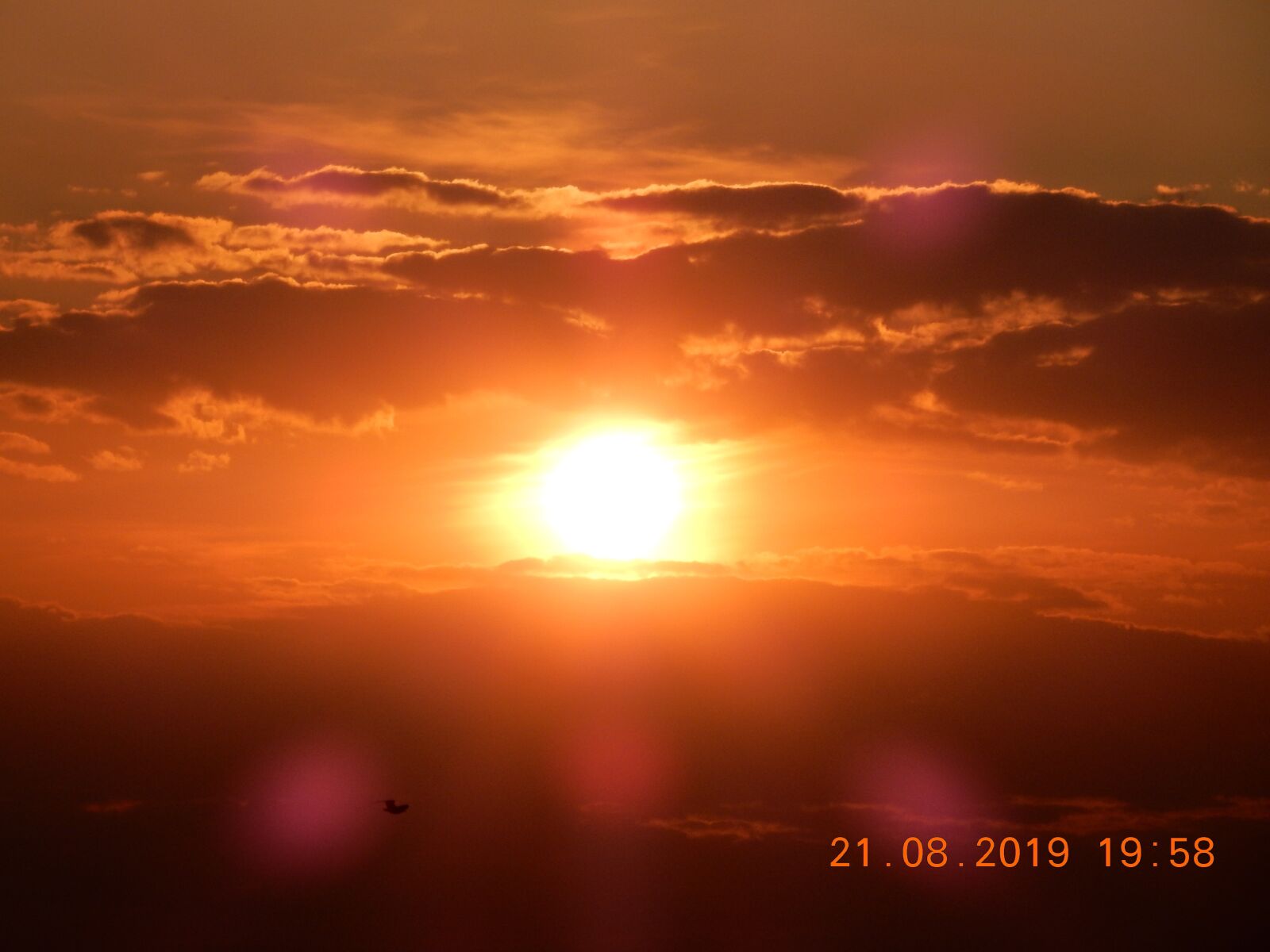 Nikon Coolpix S9900 sample photo. Sunset, evening sun, mood photography