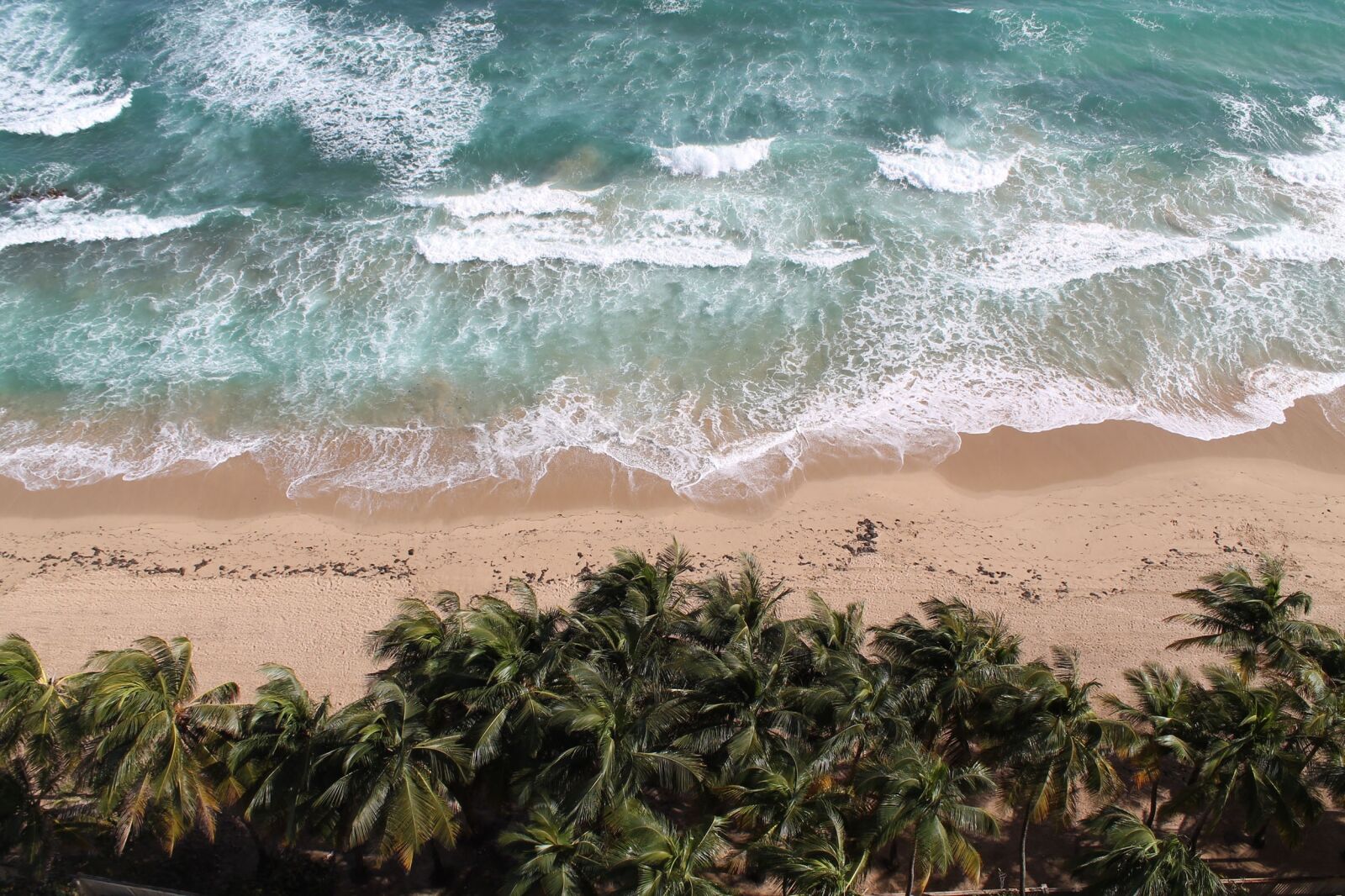 Canon EOS 1100D (EOS Rebel T3 / EOS Kiss X50) sample photo. Tropical, beach, waves photography