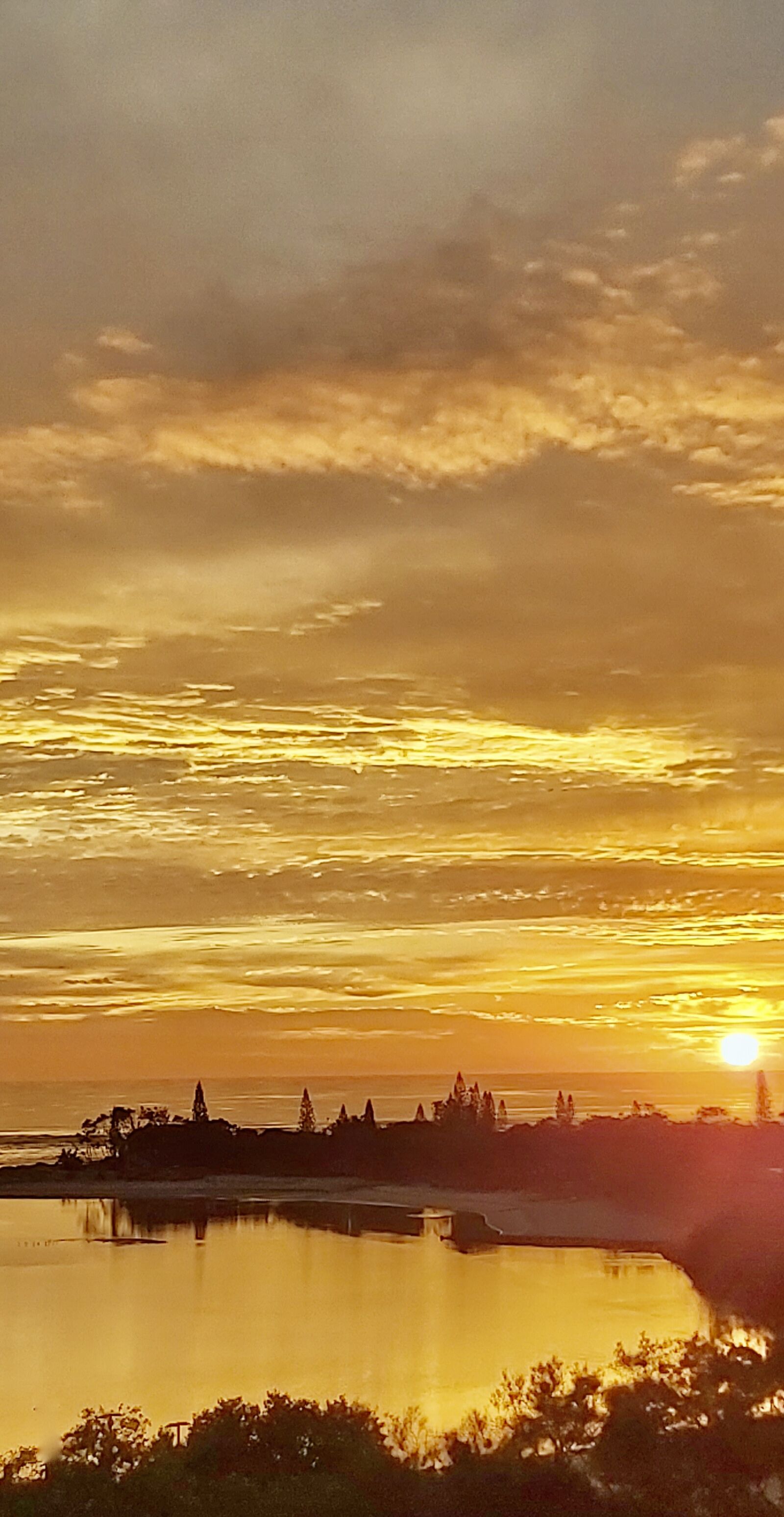 Samsung Galaxy A70 sample photo. Sunrise, cotton, tree photography