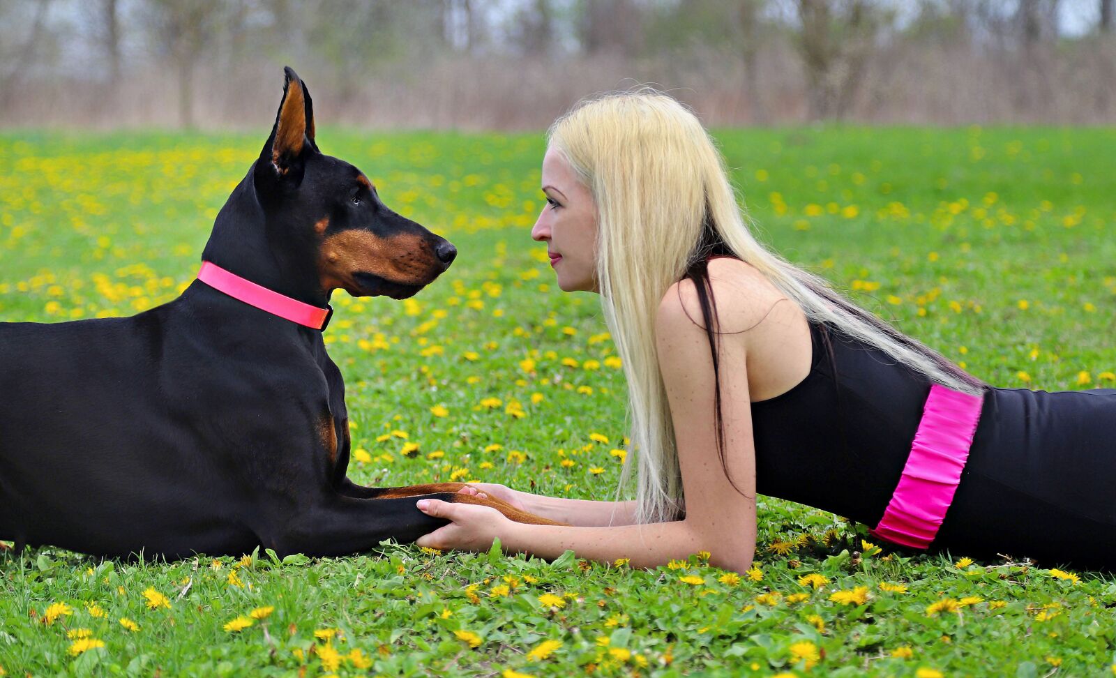 Canon EOS 6D Mark II sample photo. Dog, doberman, friendship photography