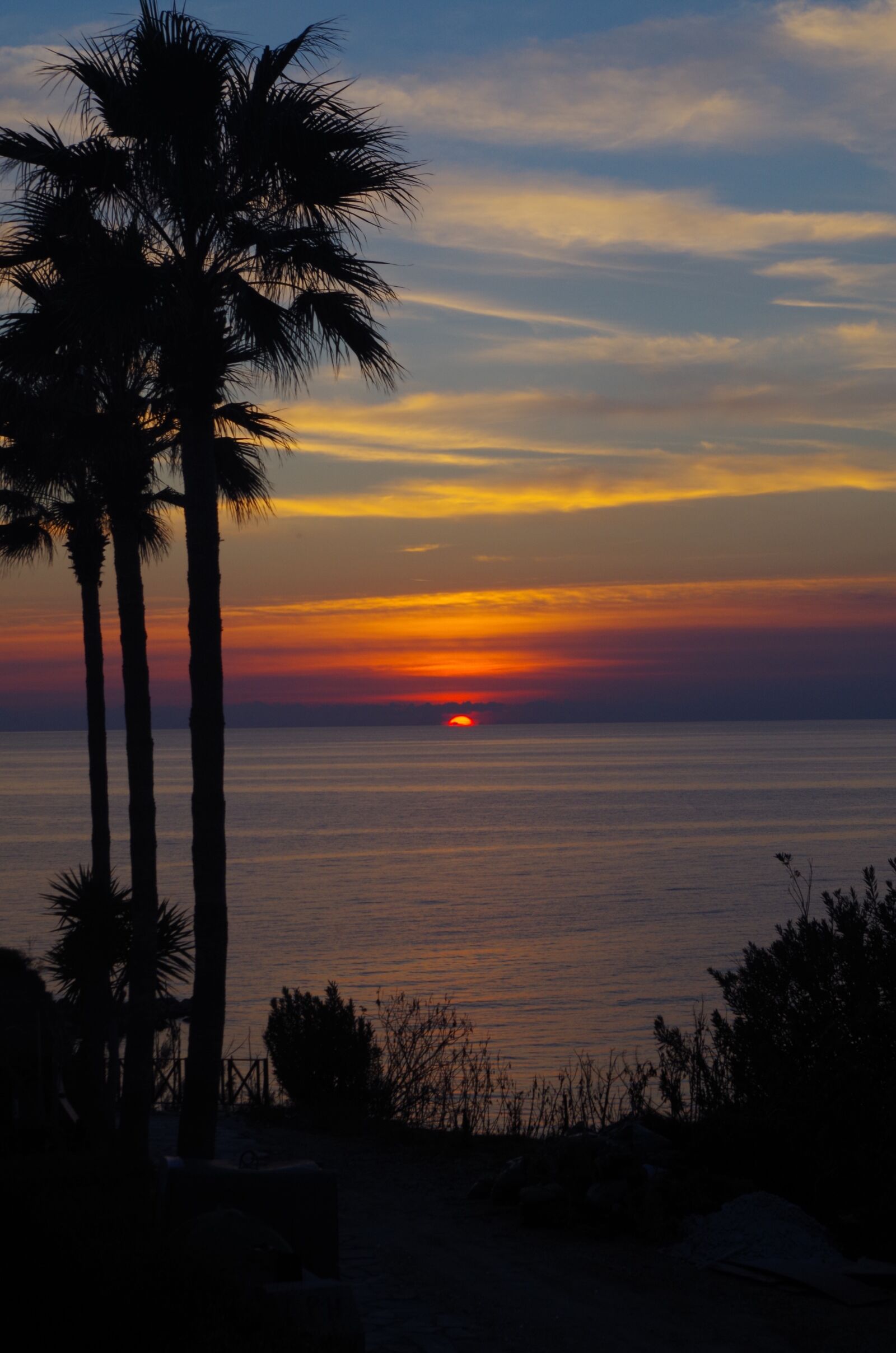 Pentax K-50 sample photo. Sunset, palm trees, mood photography