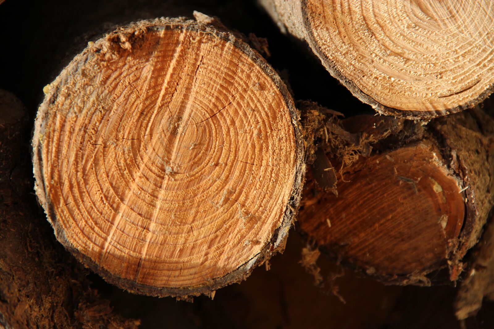 Canon EOS 600D (Rebel EOS T3i / EOS Kiss X5) sample photo. Wood, boiler, chocolate yule photography
