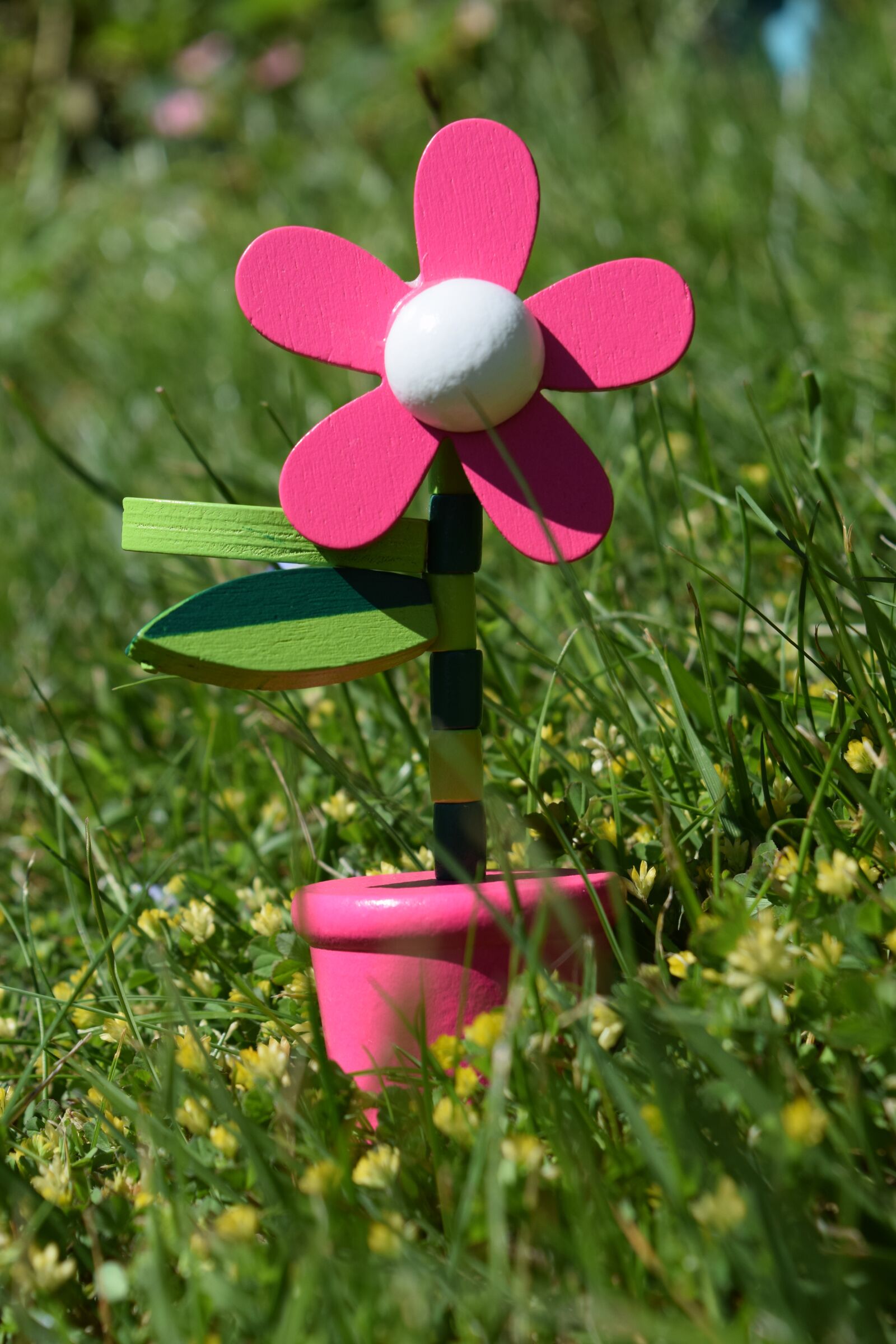 Nikon D3300 sample photo. Flower, holzblume, children toys photography