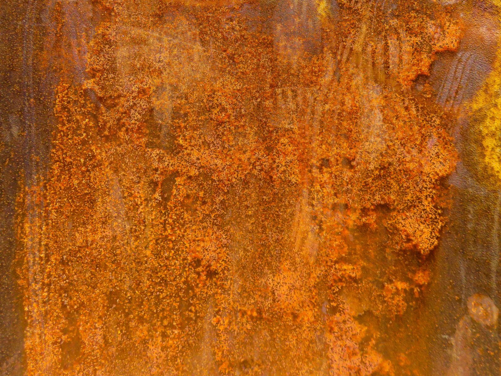 Canon PowerShot SX710 HS sample photo. Rust, rusty, iron photography