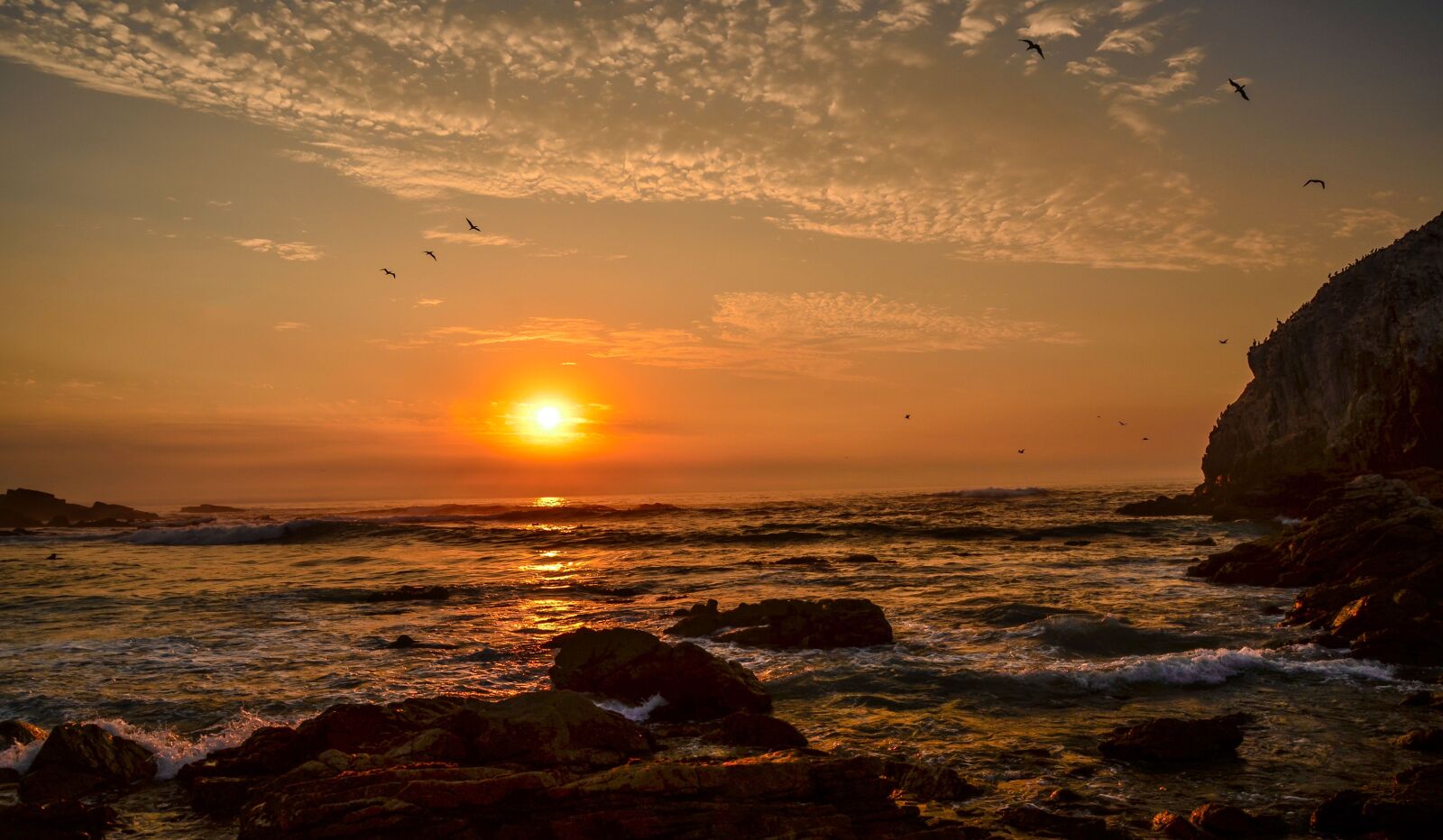 Nikon D7000 sample photo. Puesta, sol, algarrobo photography