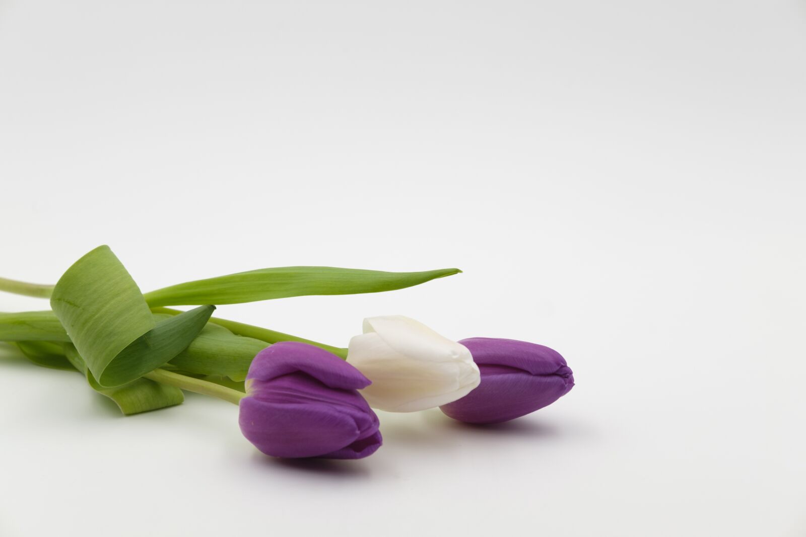 Fujifilm X-T2 + Fujifilm XF 35mm F2 R WR sample photo. Bouquet, tulip bouquet, tulips photography