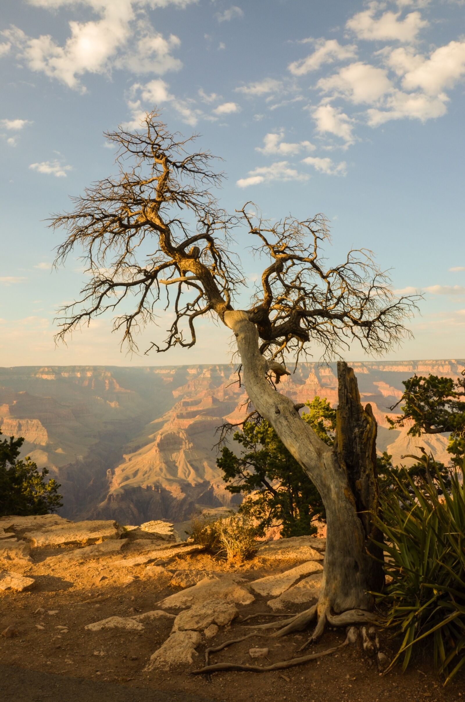 Nikon D5100 sample photo. Grand canyon, arizona, usa photography