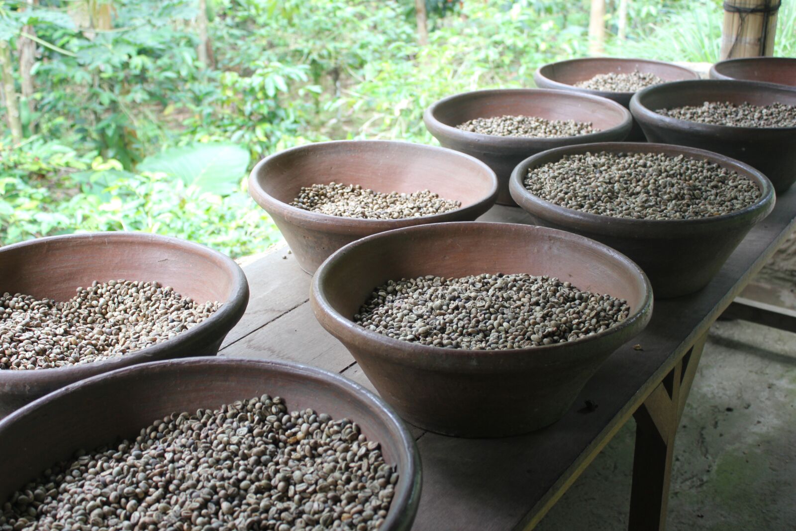 Canon EOS 550D (EOS Rebel T2i / EOS Kiss X4) sample photo. Coffee, coffee beans, beans photography