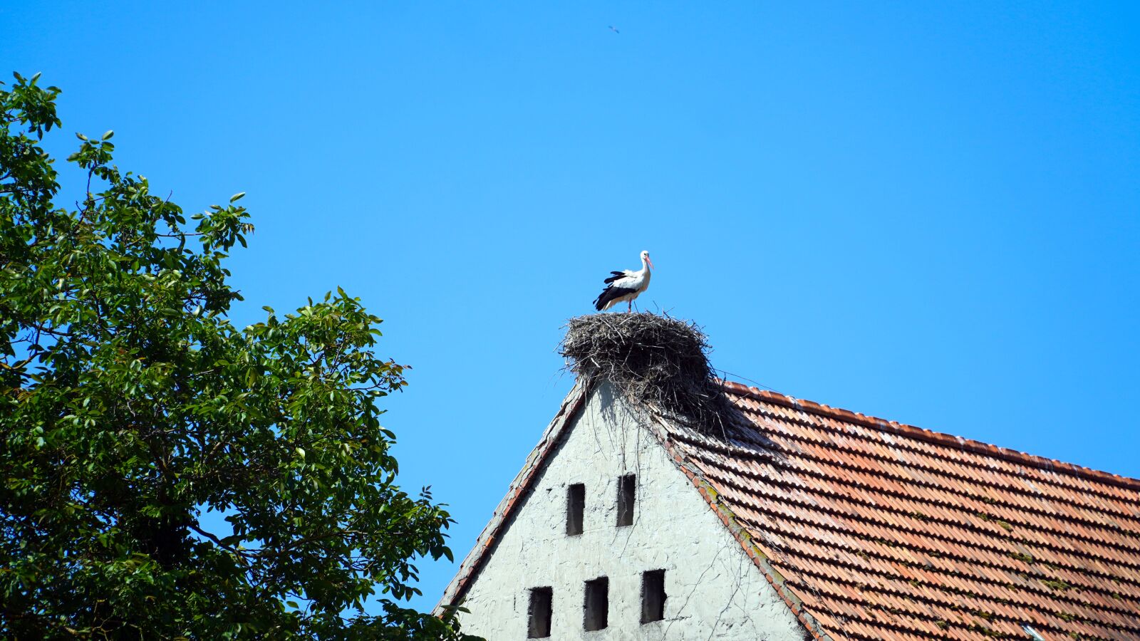 Sony E PZ 18-105mm F4 G OSS sample photo. Storchennest, stork, nest photography