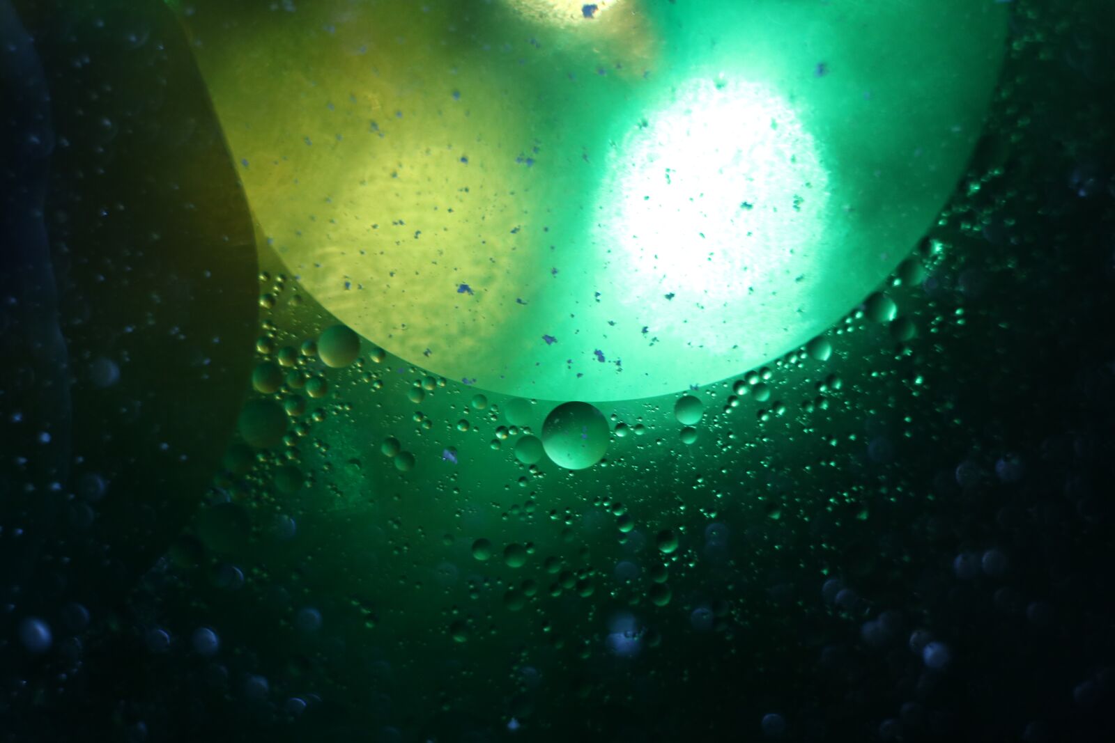 Canon EOS 750D (EOS Rebel T6i / EOS Kiss X8i) sample photo. Drops, oil, colorful photography