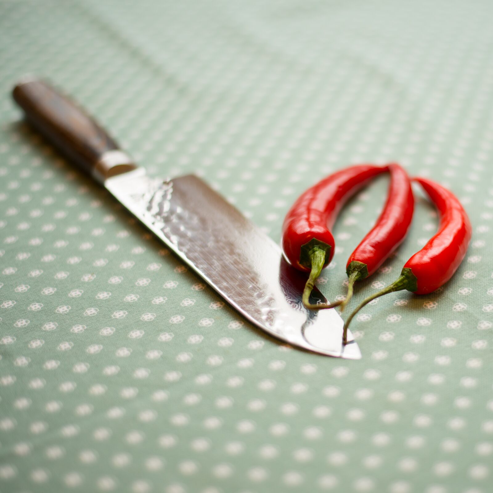 Nikon D800 sample photo. Knife, table, peppers photography