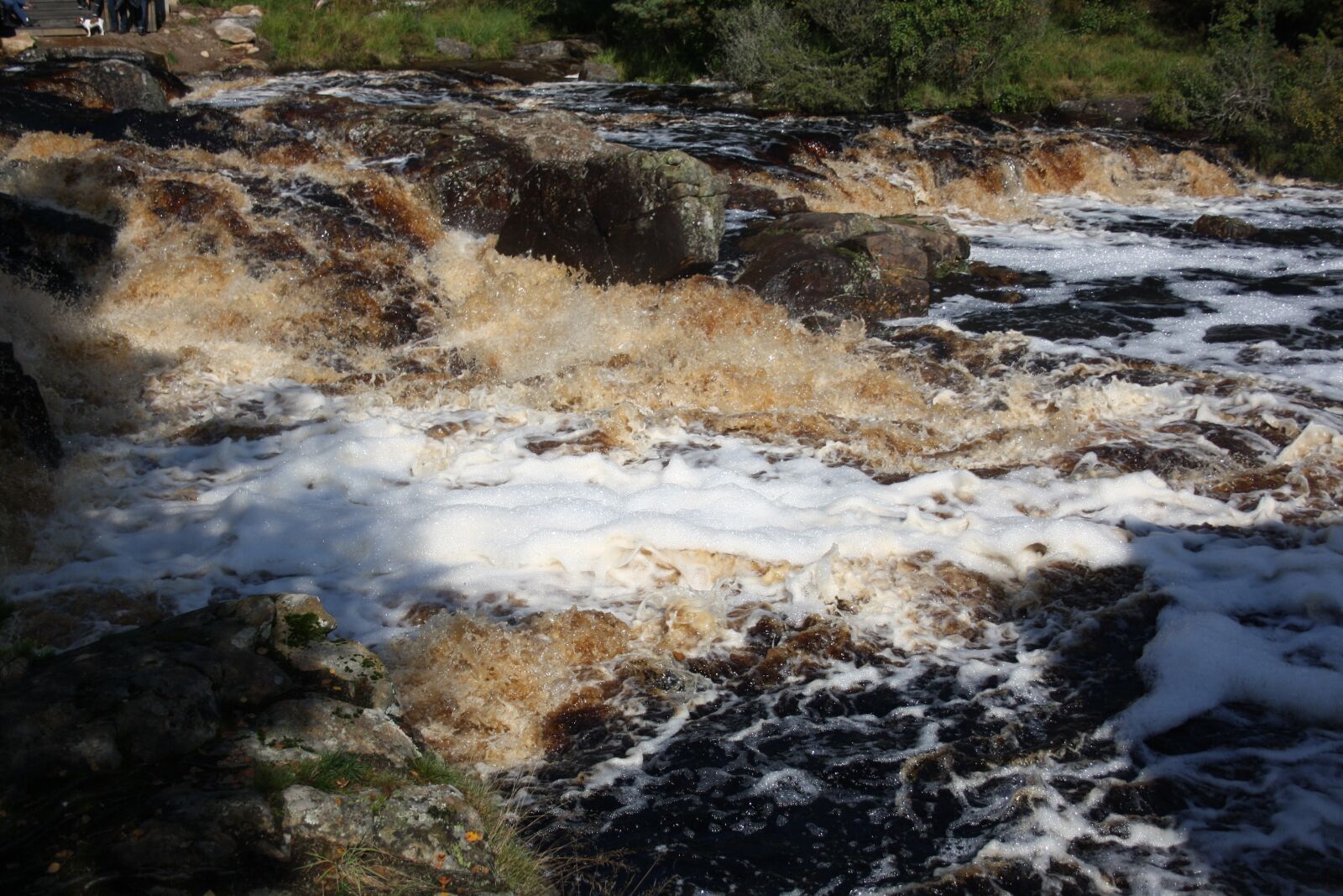 Canon EOS 1000D (EOS Digital Rebel XS / EOS Kiss F) sample photo. Elv, shower mixer, water photography