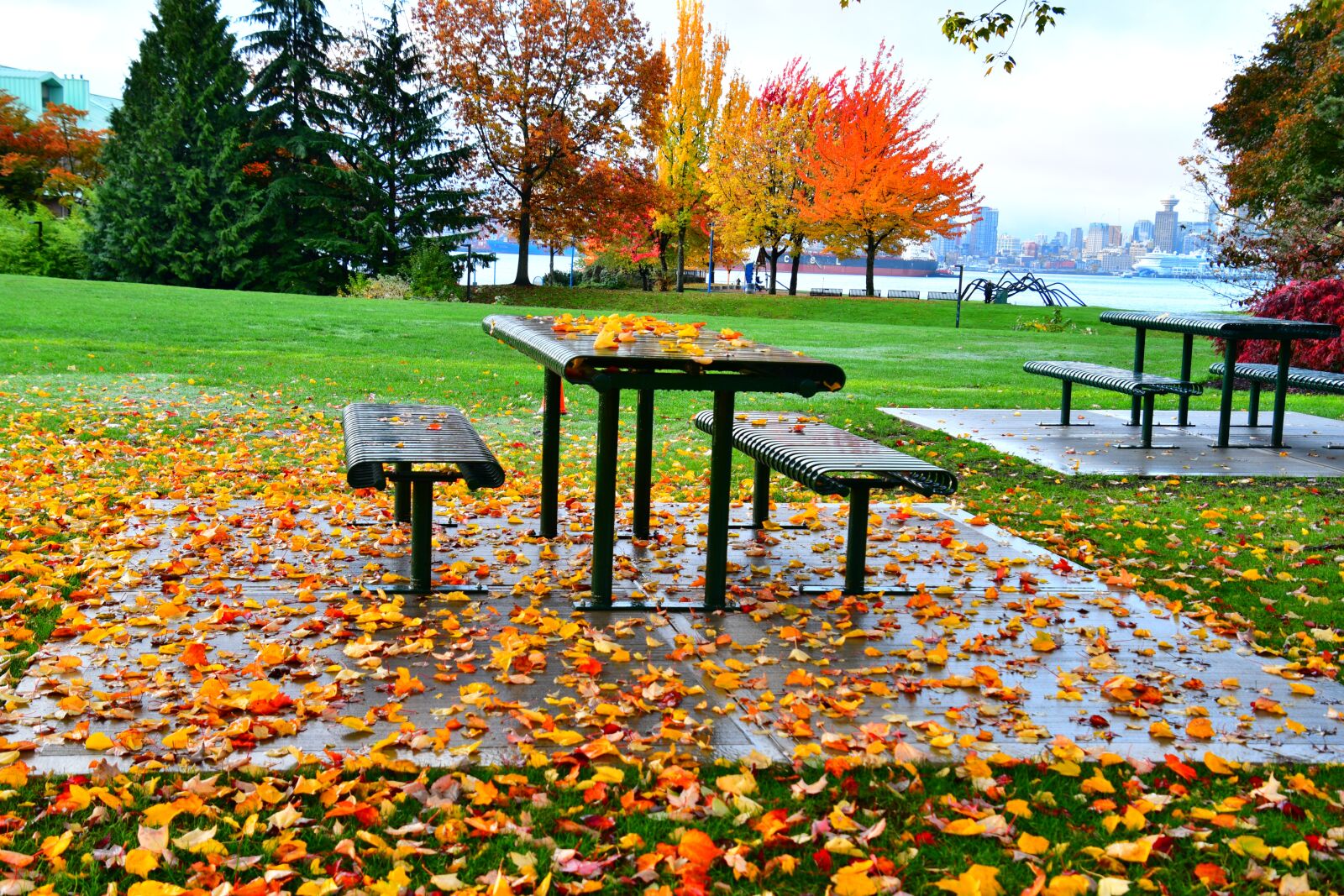 Nikon D7500 sample photo. Autumn, season, leaves photography