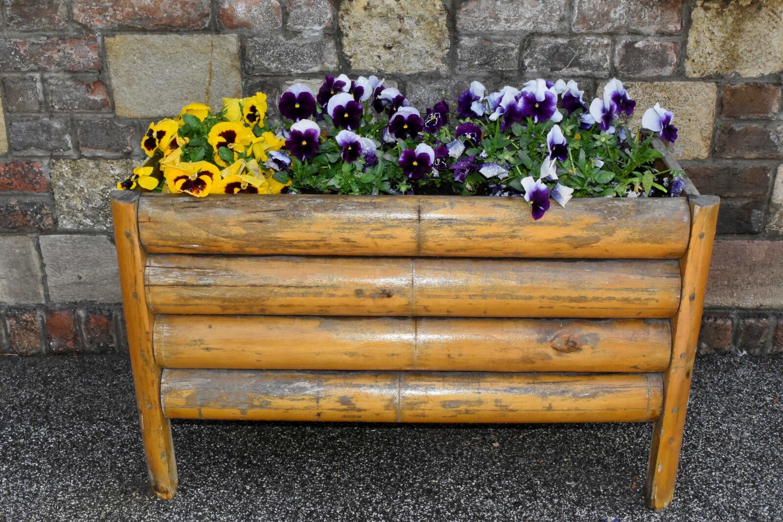 Nikon D5500 sample photo. Wood, wooden, garden, furniture photography