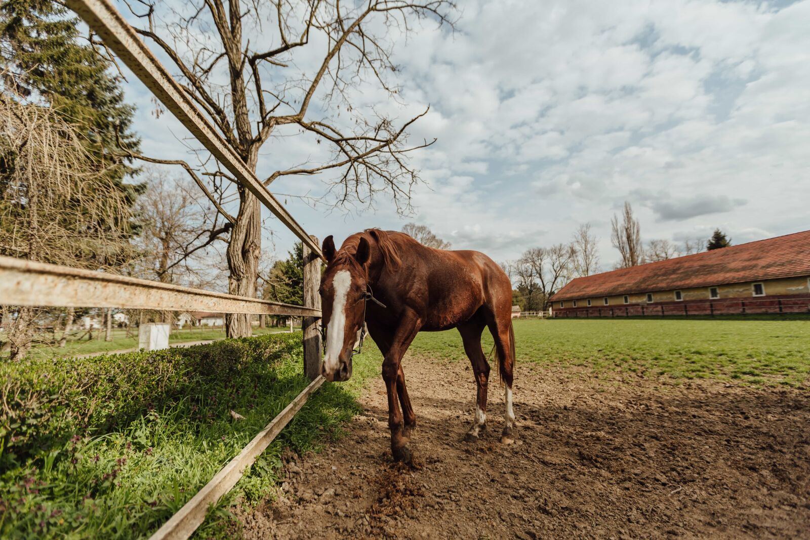 Canon EF 16-35mm F2.8L II USM sample photo. Farmland, horse, horse racing photography