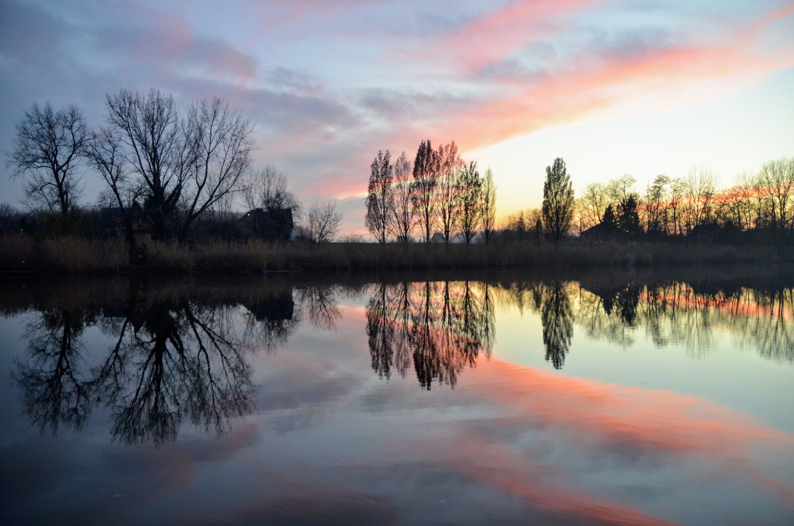 Nikon D7000 sample photo. Reflection, water, nature photography