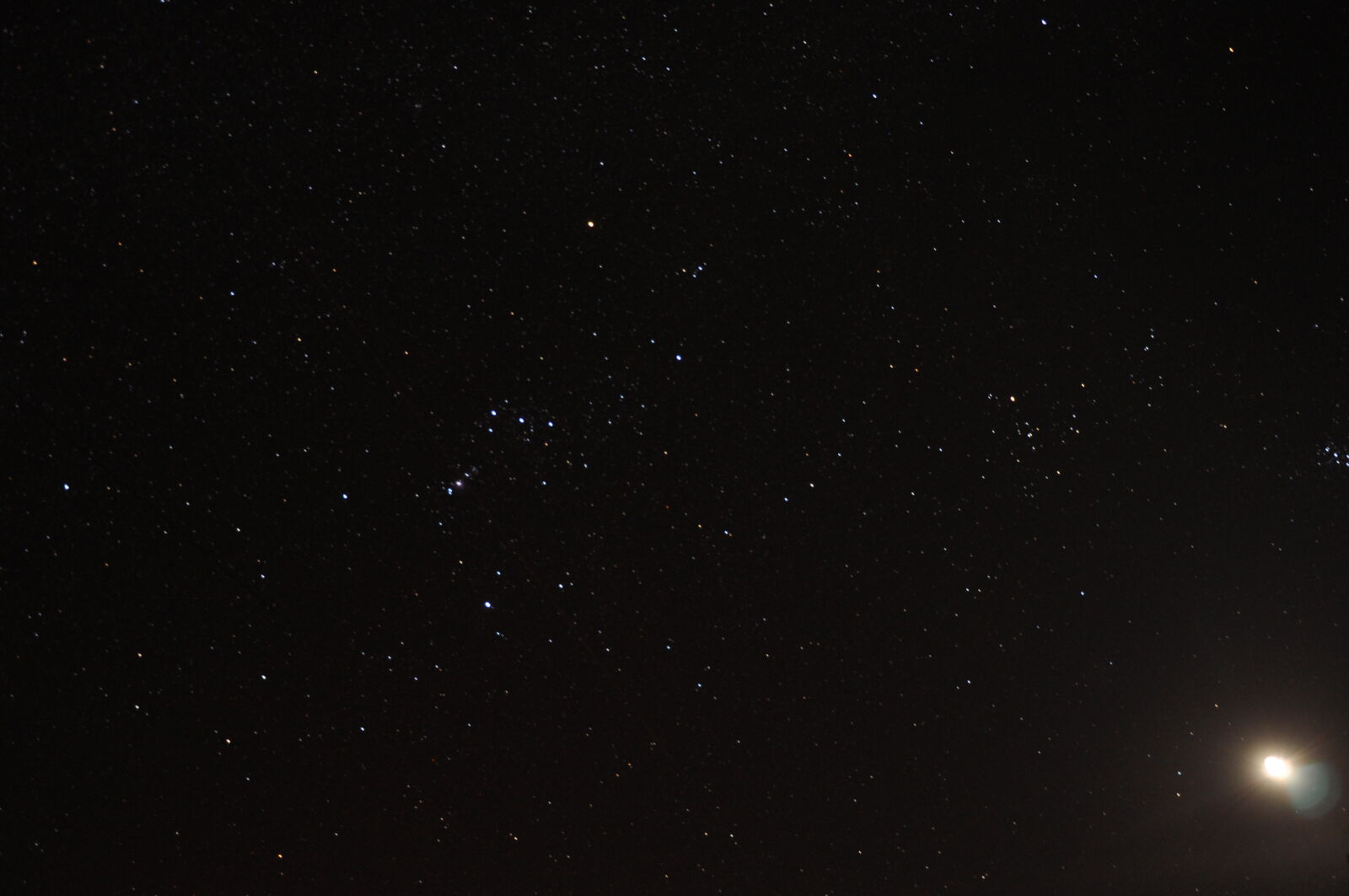 Nikon D90 sample photo