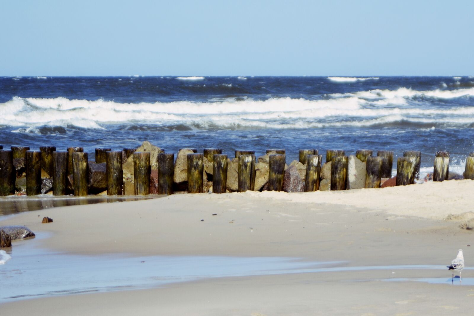 Nikon D3100 sample photo. Ostsee, sea, water photography