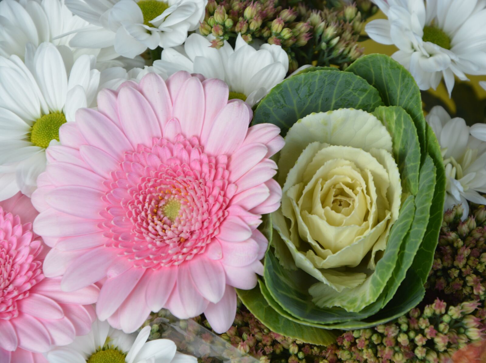 Nikon D5200 sample photo. Flower, flowers floral, offer photography