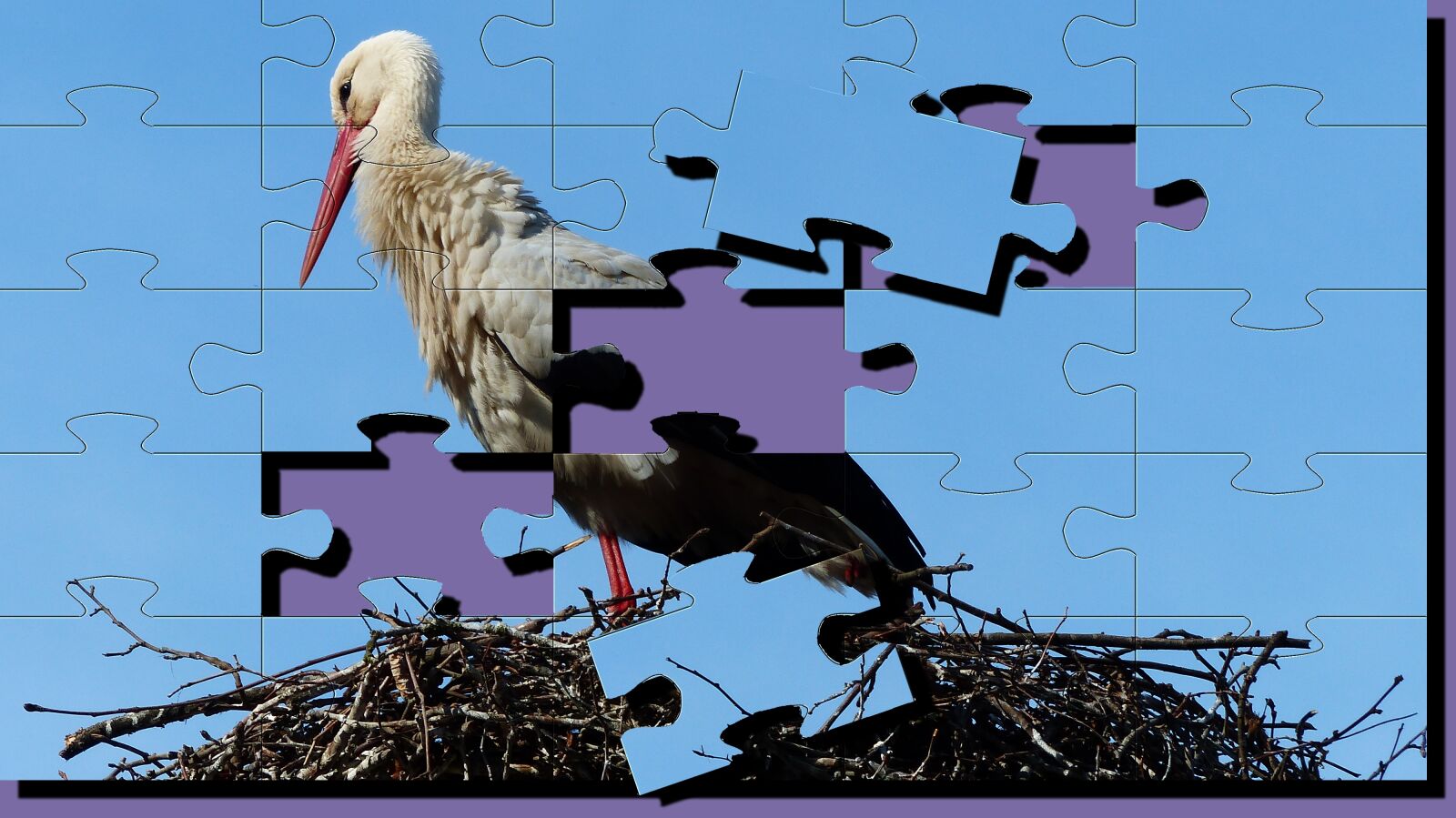 Panasonic Lumix DMC-FZ200 sample photo. Stork, puzzle, bird photography