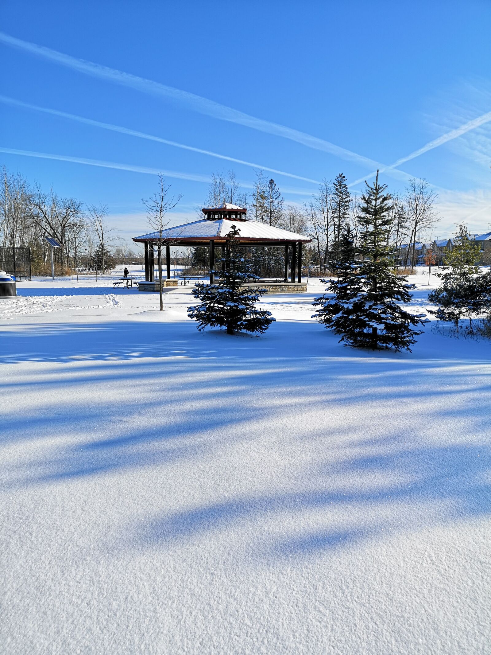 HUAWEI P20 Pro sample photo. Snow, blue sky, pine photography