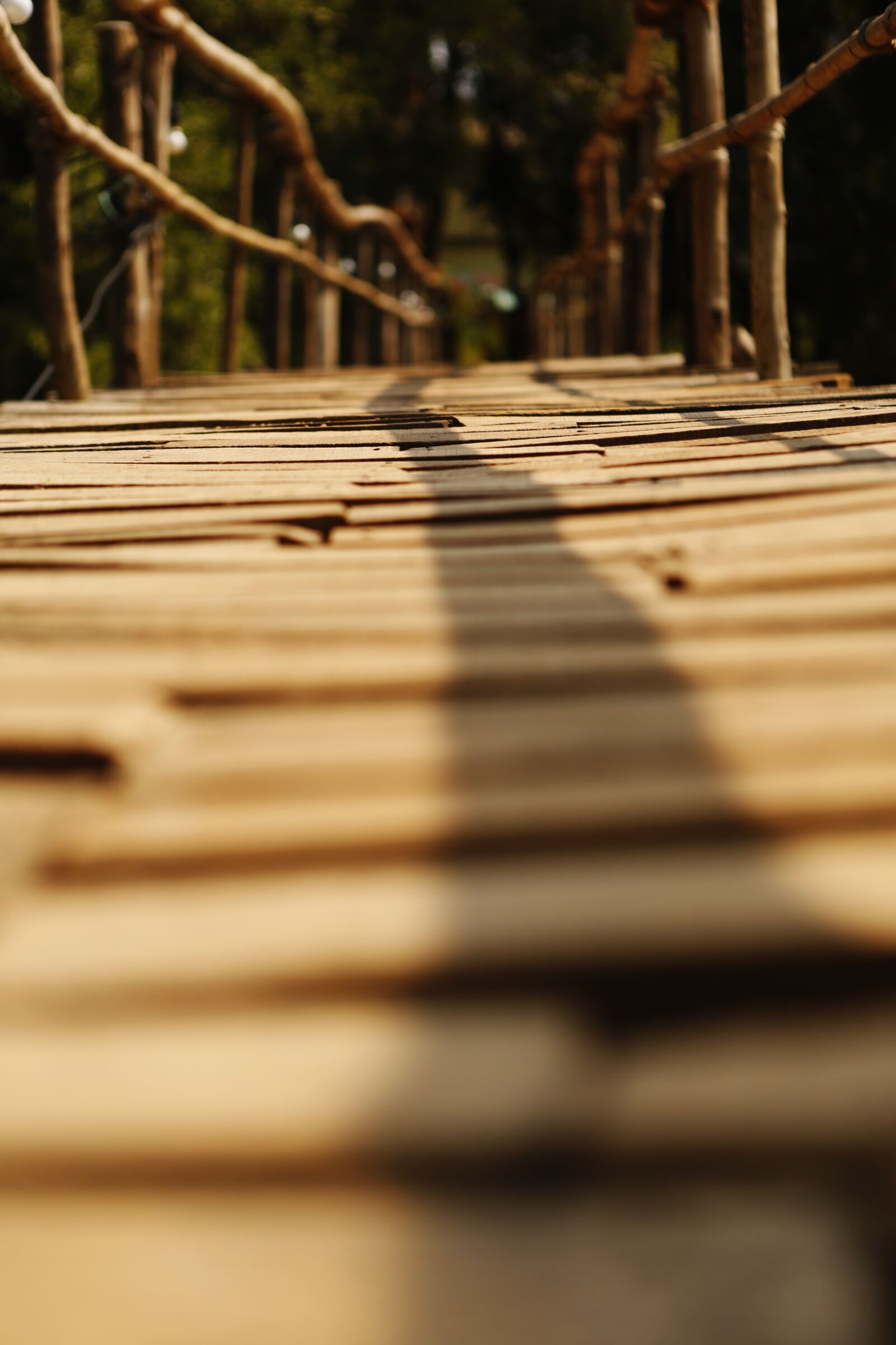 Canon EOS 5D Mark III sample photo. Bridge, wood, nature photography
