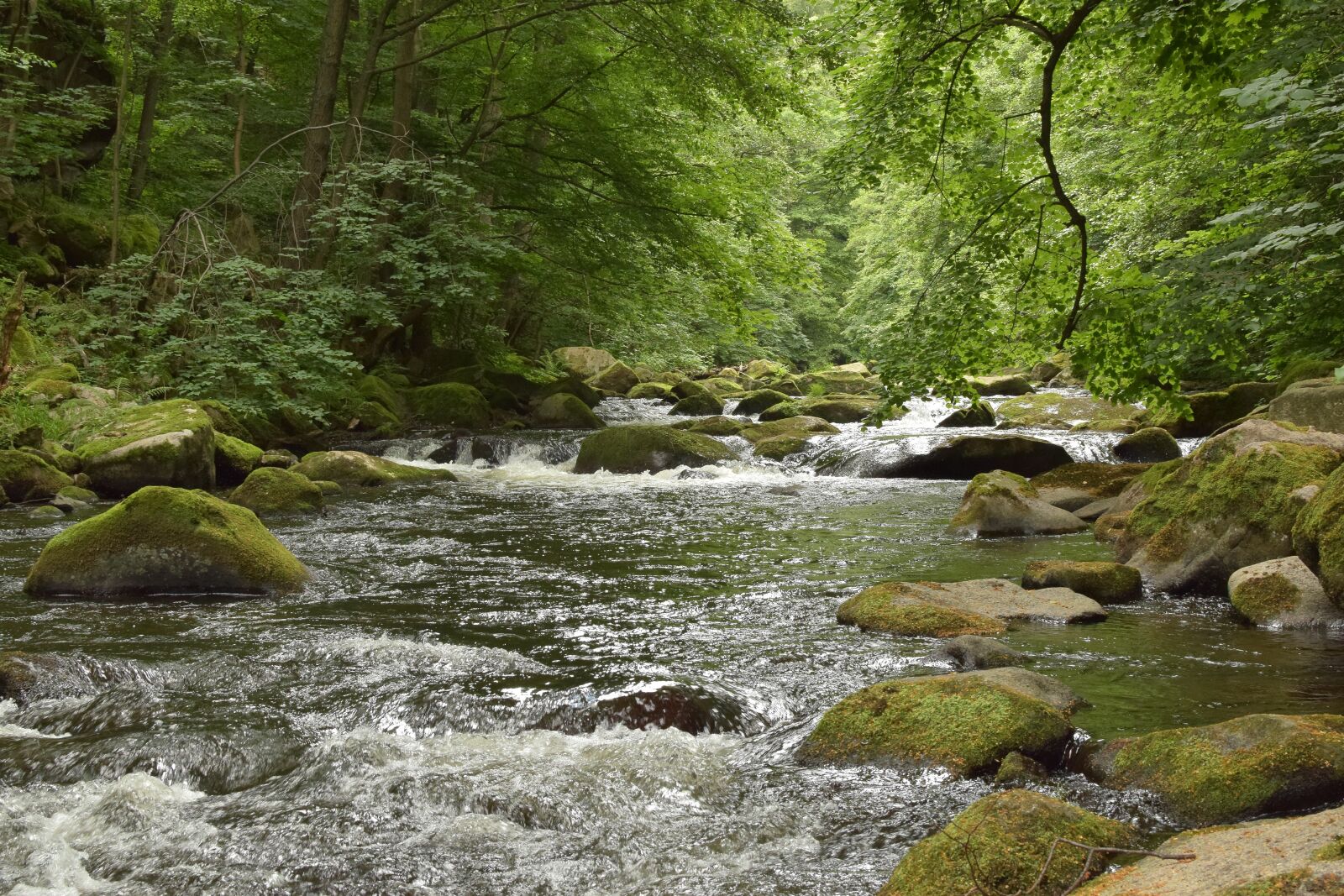 Nikon D5300 sample photo. Bode, river, water photography